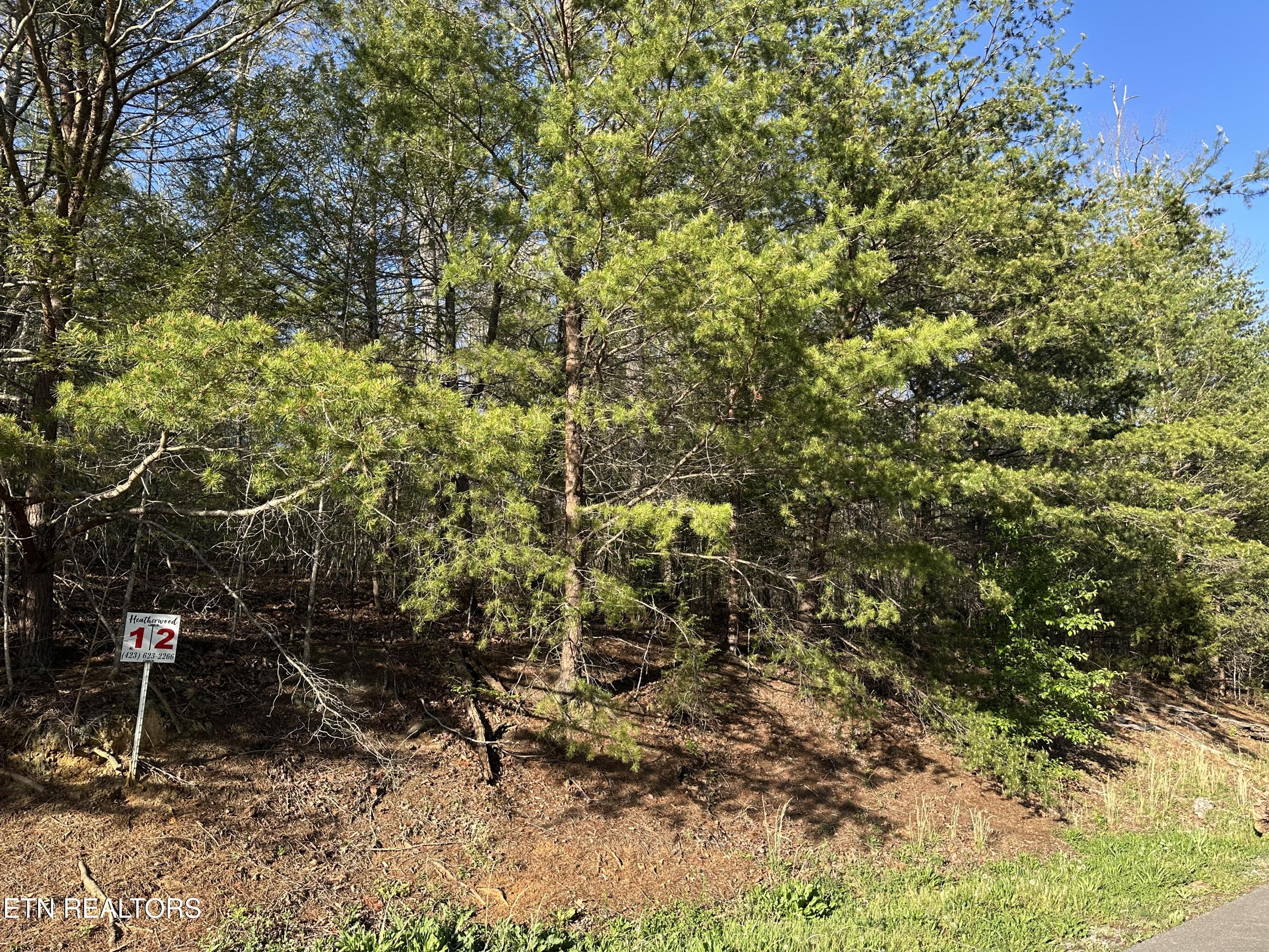 Lot 2 Timber Trail Property Photo 3