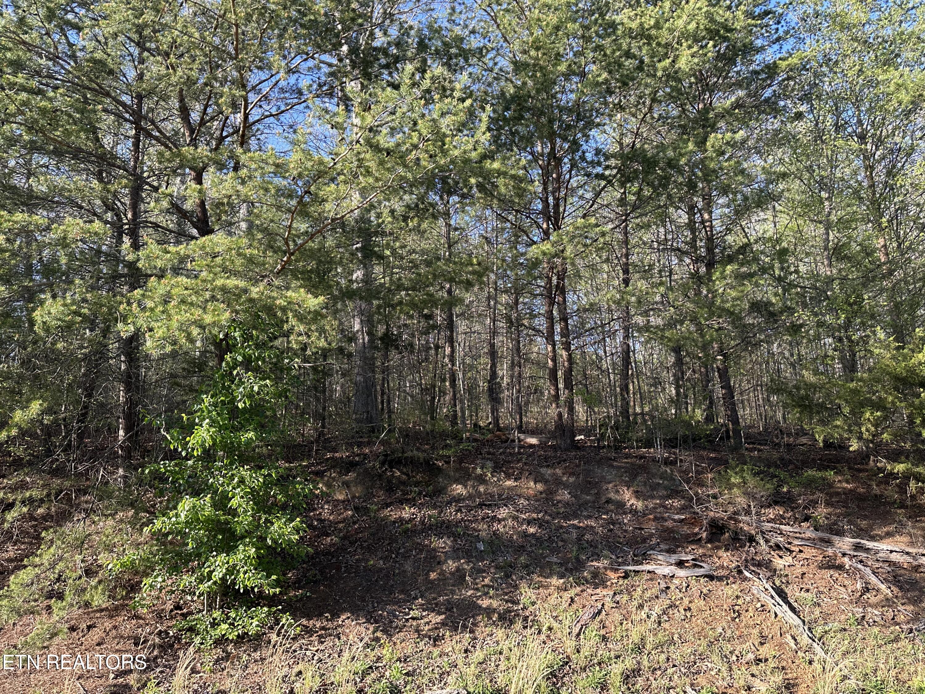 Lot 2 Timber Trail Property Photo 4
