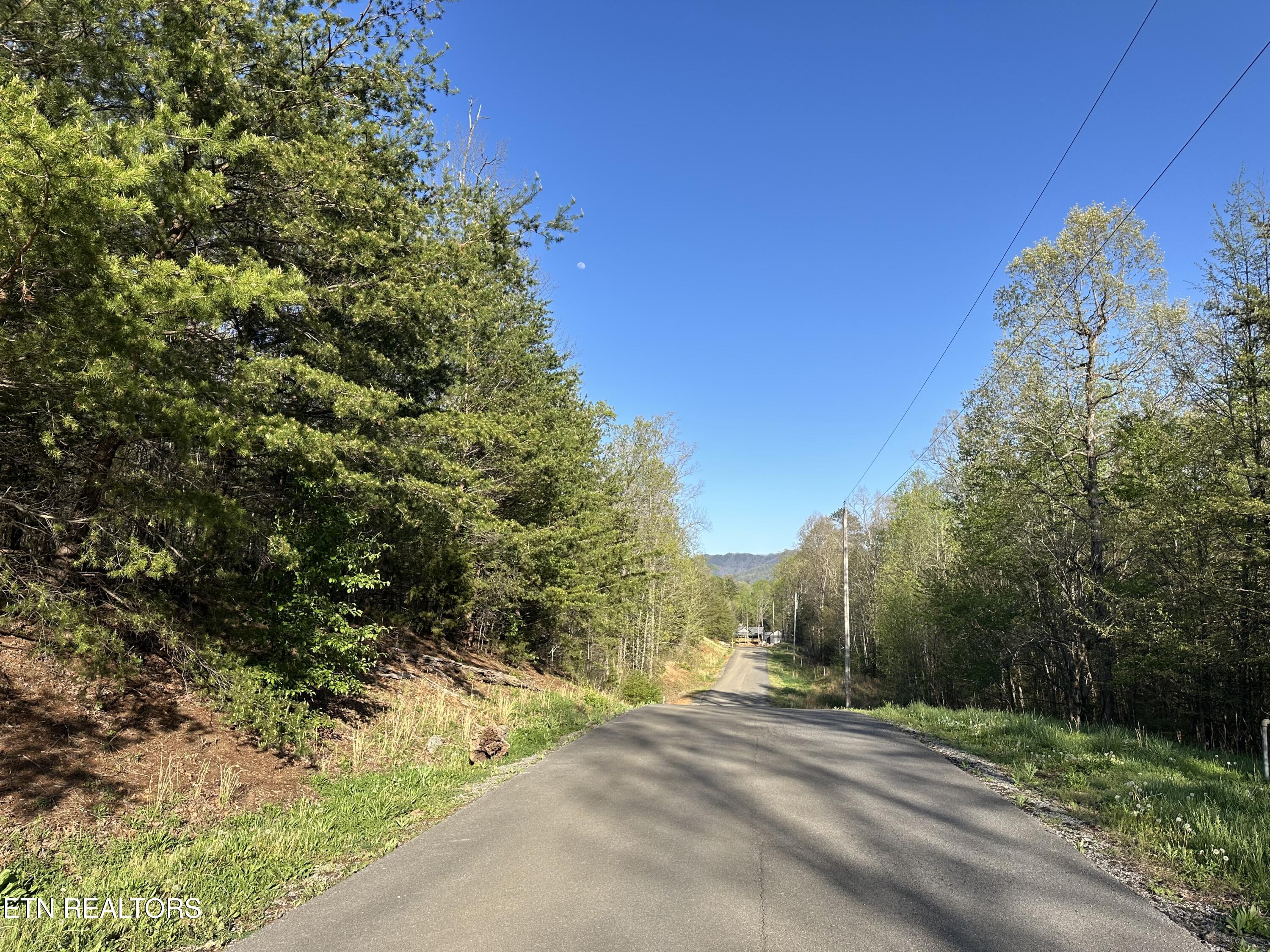 Lot 2 Timber Trail Property Photo 6
