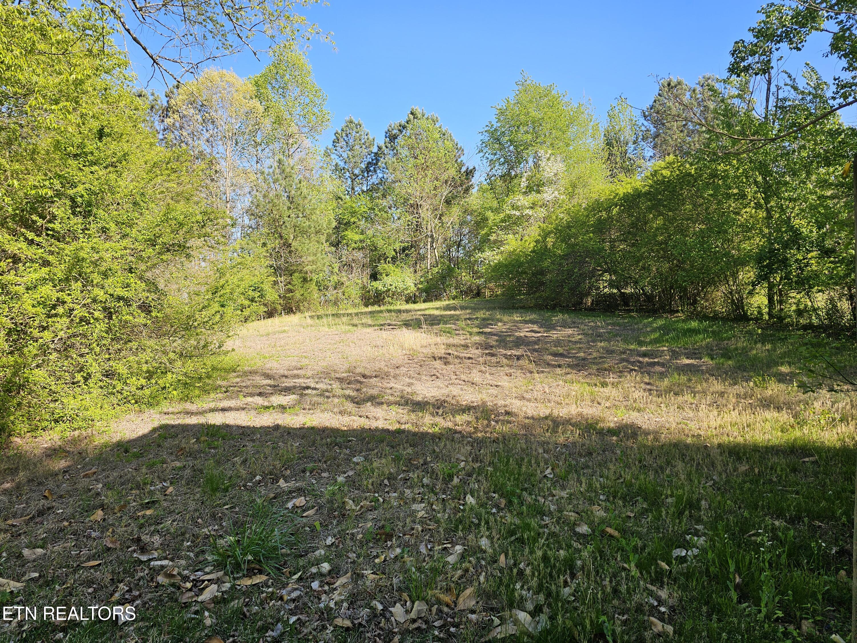 E Roddy Rd Property Photo 5