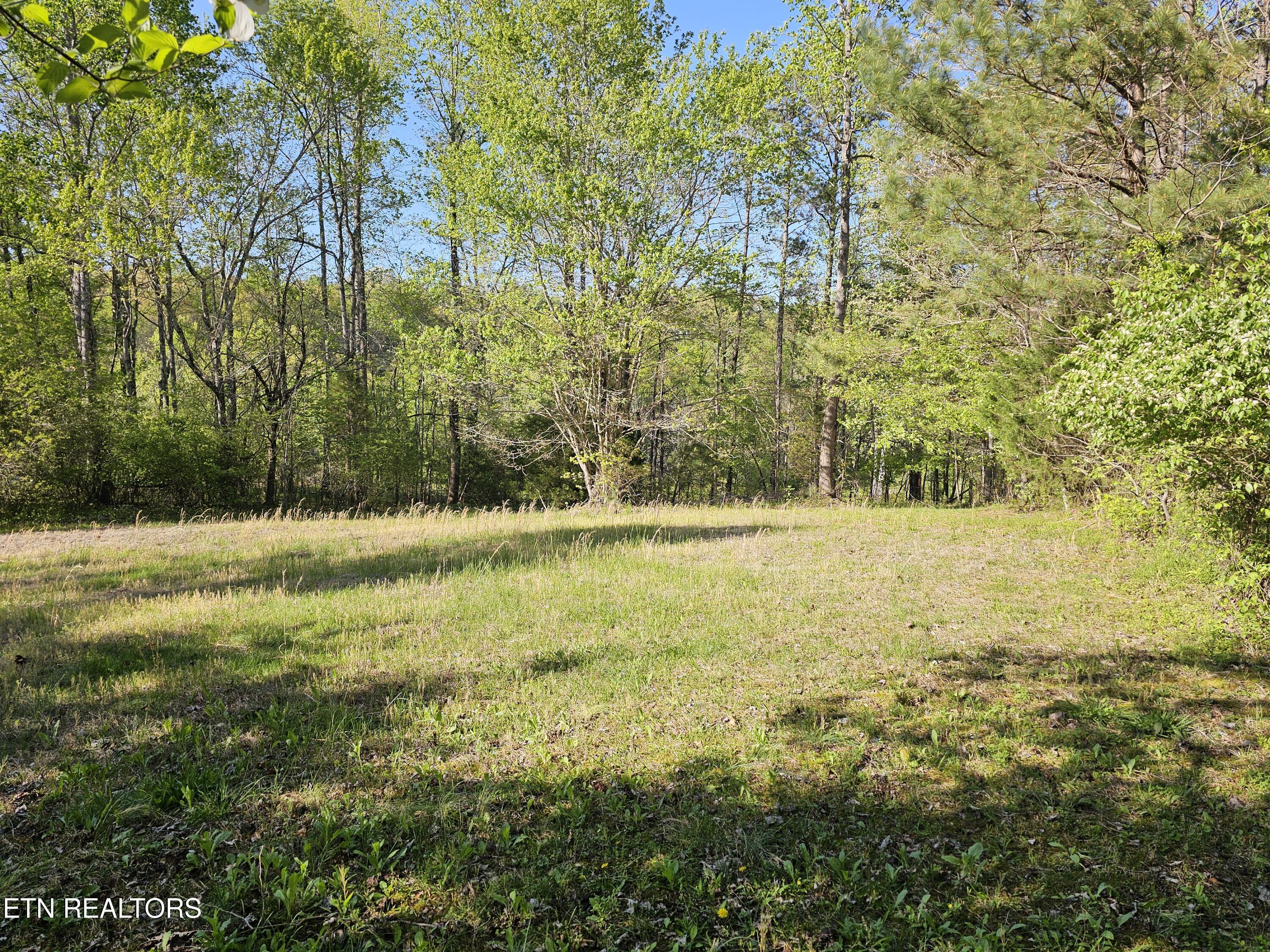 E Roddy Rd Property Photo 6
