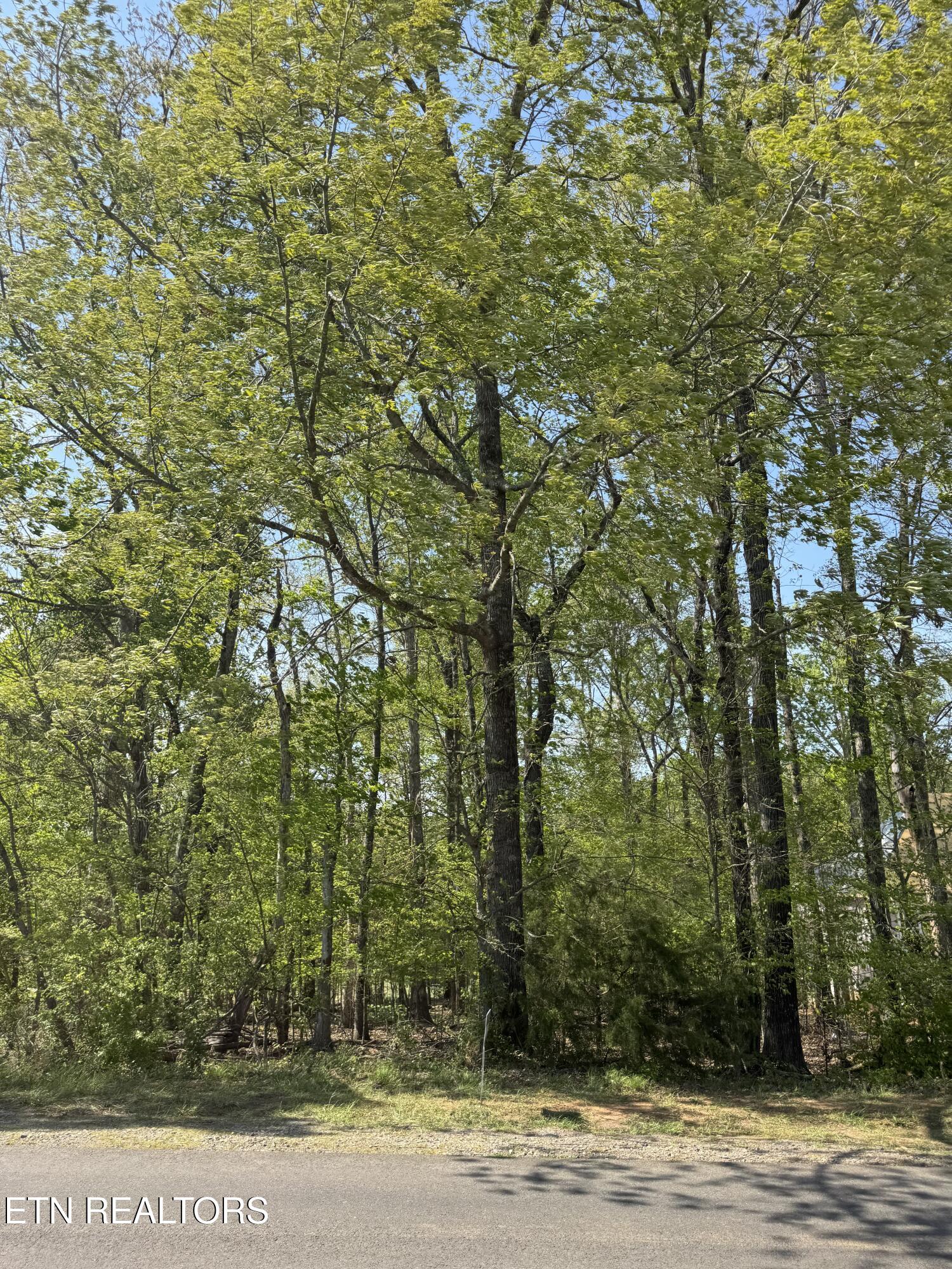 443 Kahite Trail Property Photo