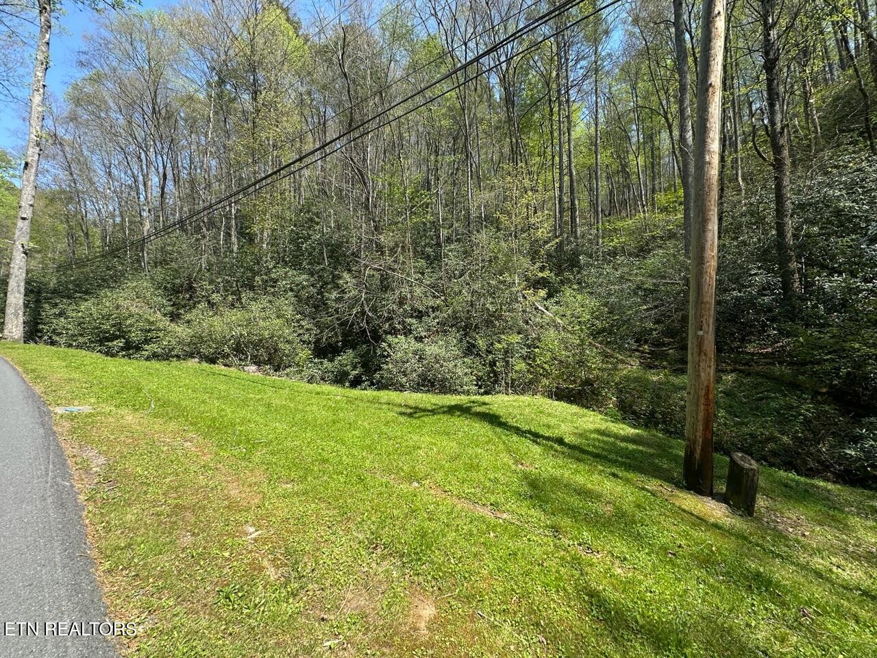Butler Branch Rd Property Photo