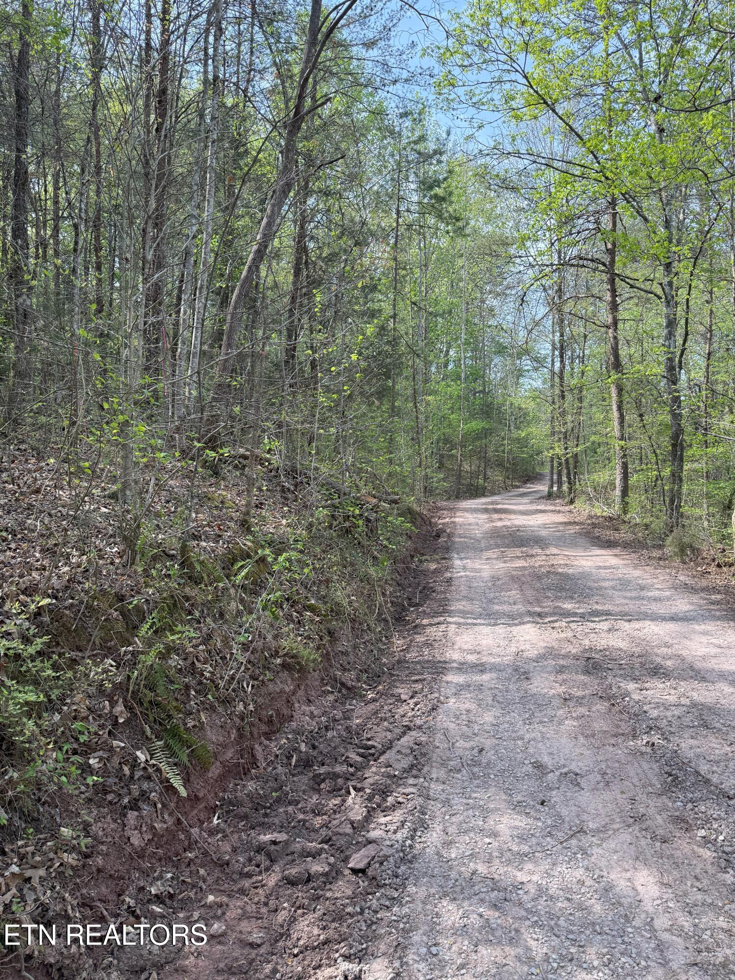 Citico Rd Property Photo