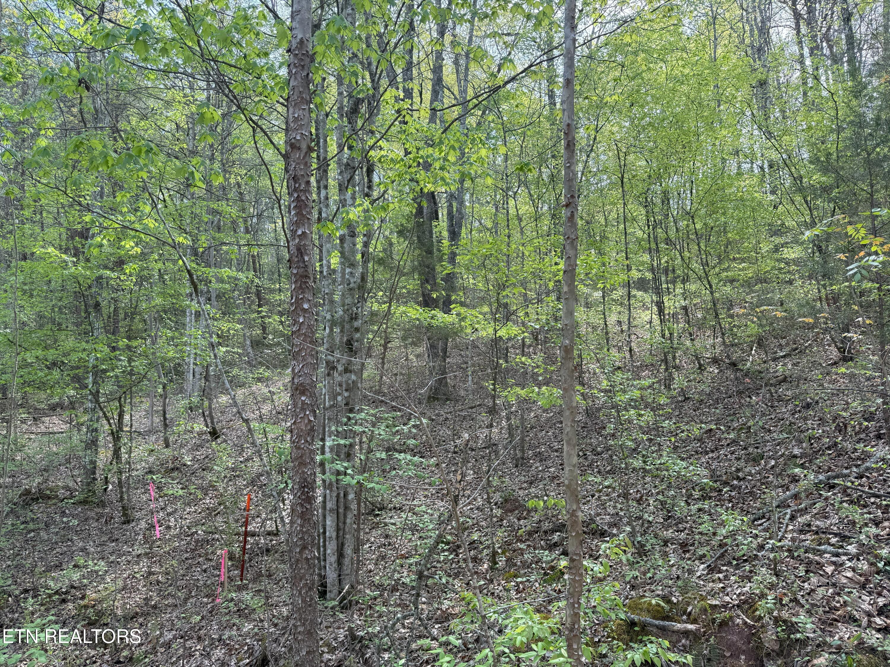 Citico Rd Property Photo 2