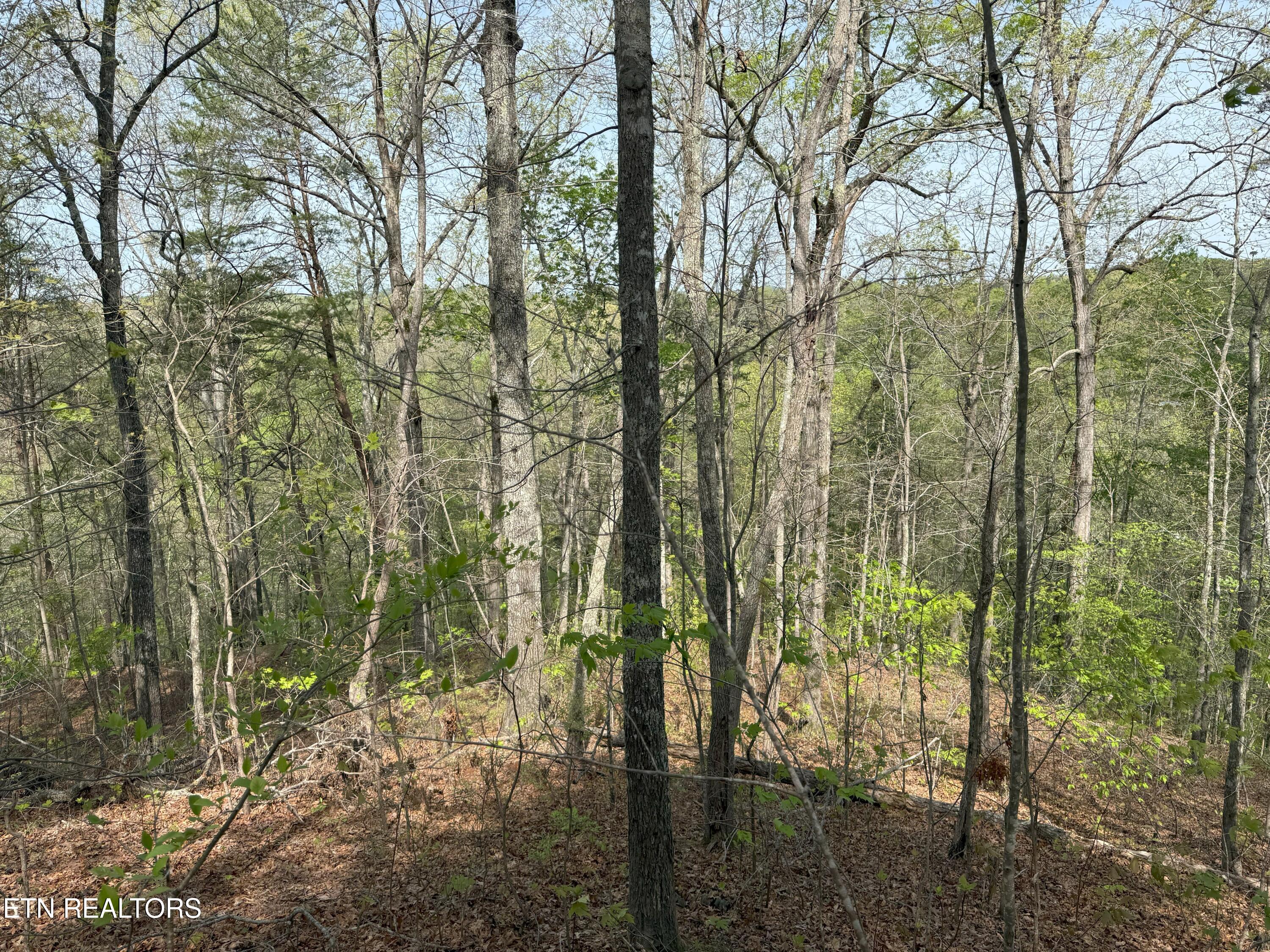Citico Rd Property Photo 3