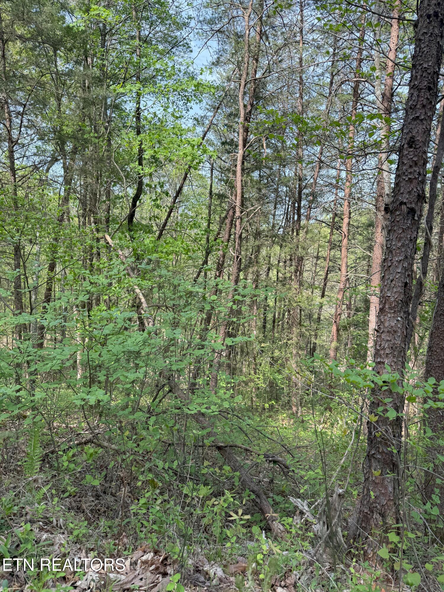 Citico Rd Property Photo 6