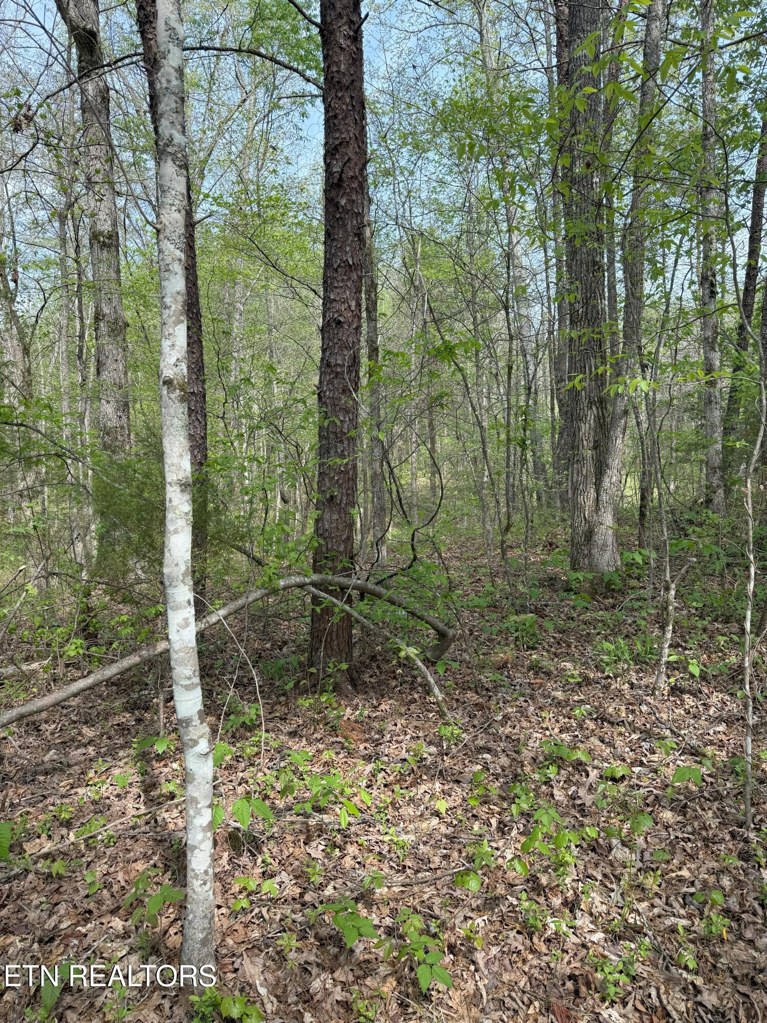 Citico Rd Property Photo 8