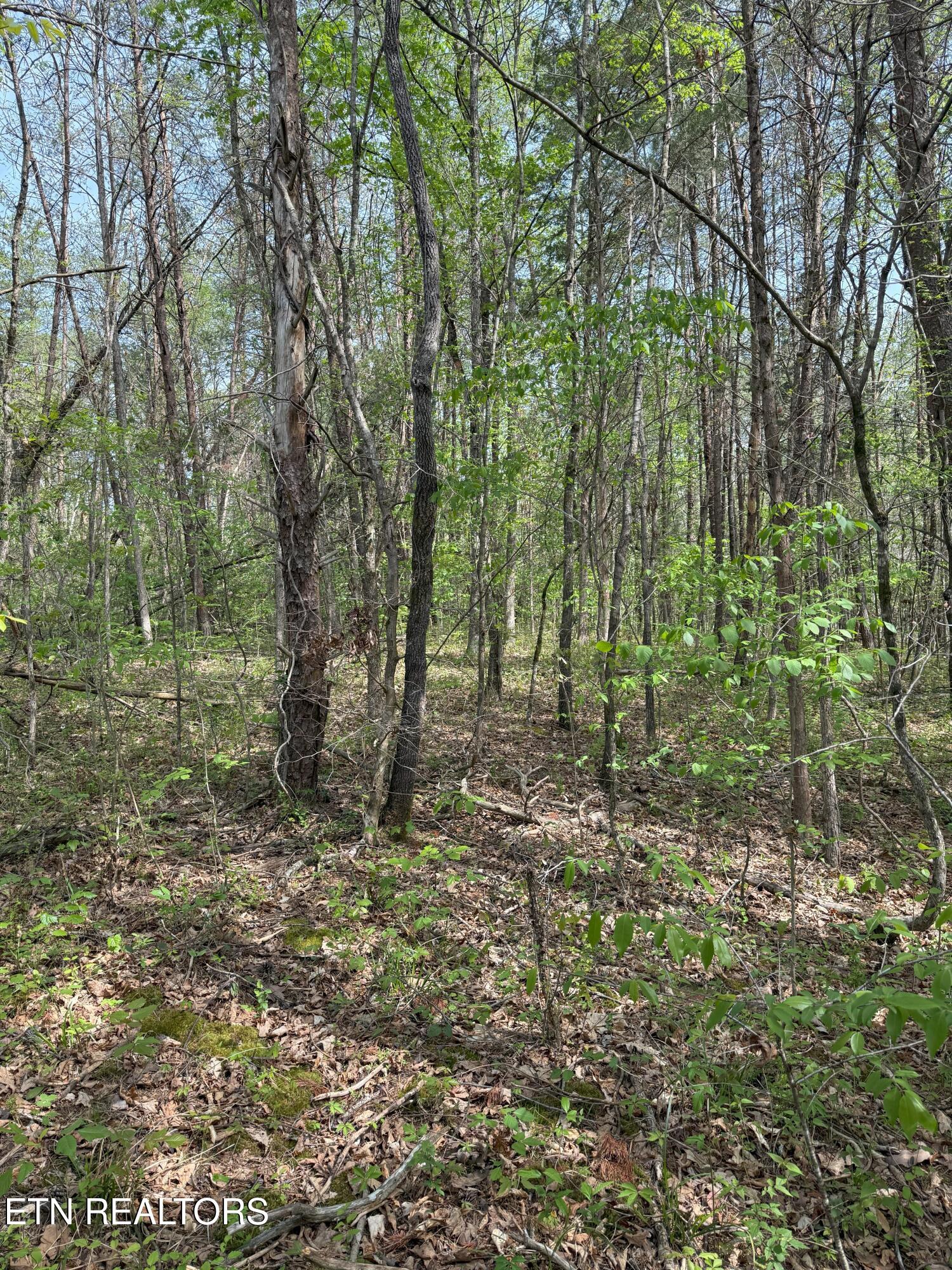 Citico Rd Property Photo 9