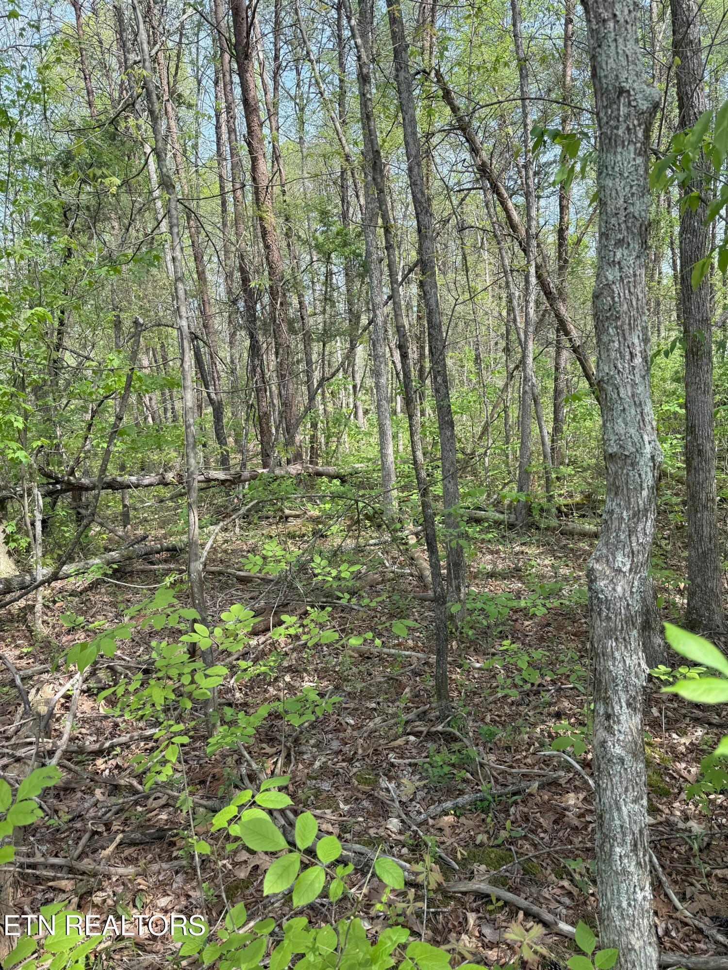 Citico Rd Property Photo 10