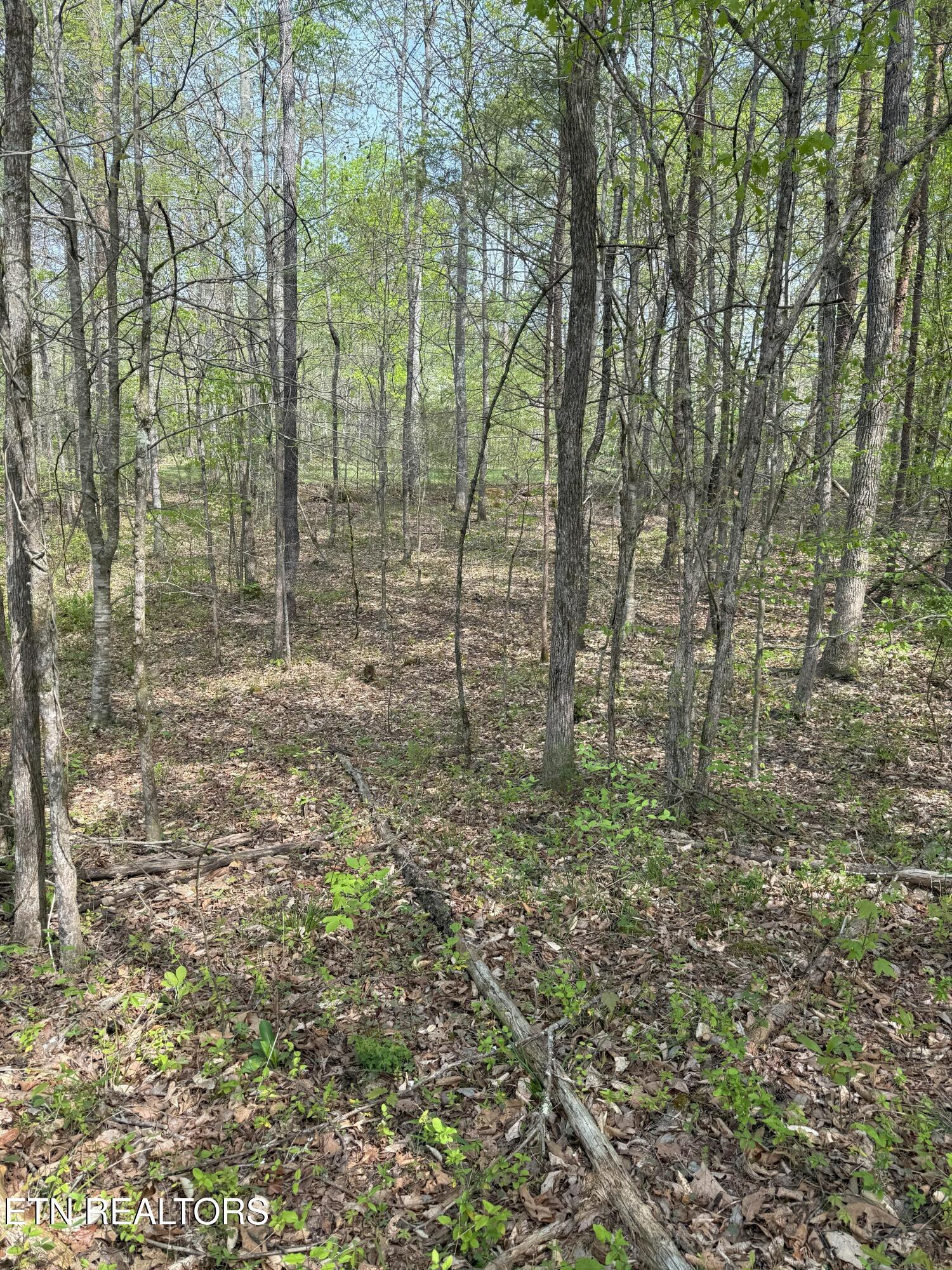 Citico Rd Property Photo 11