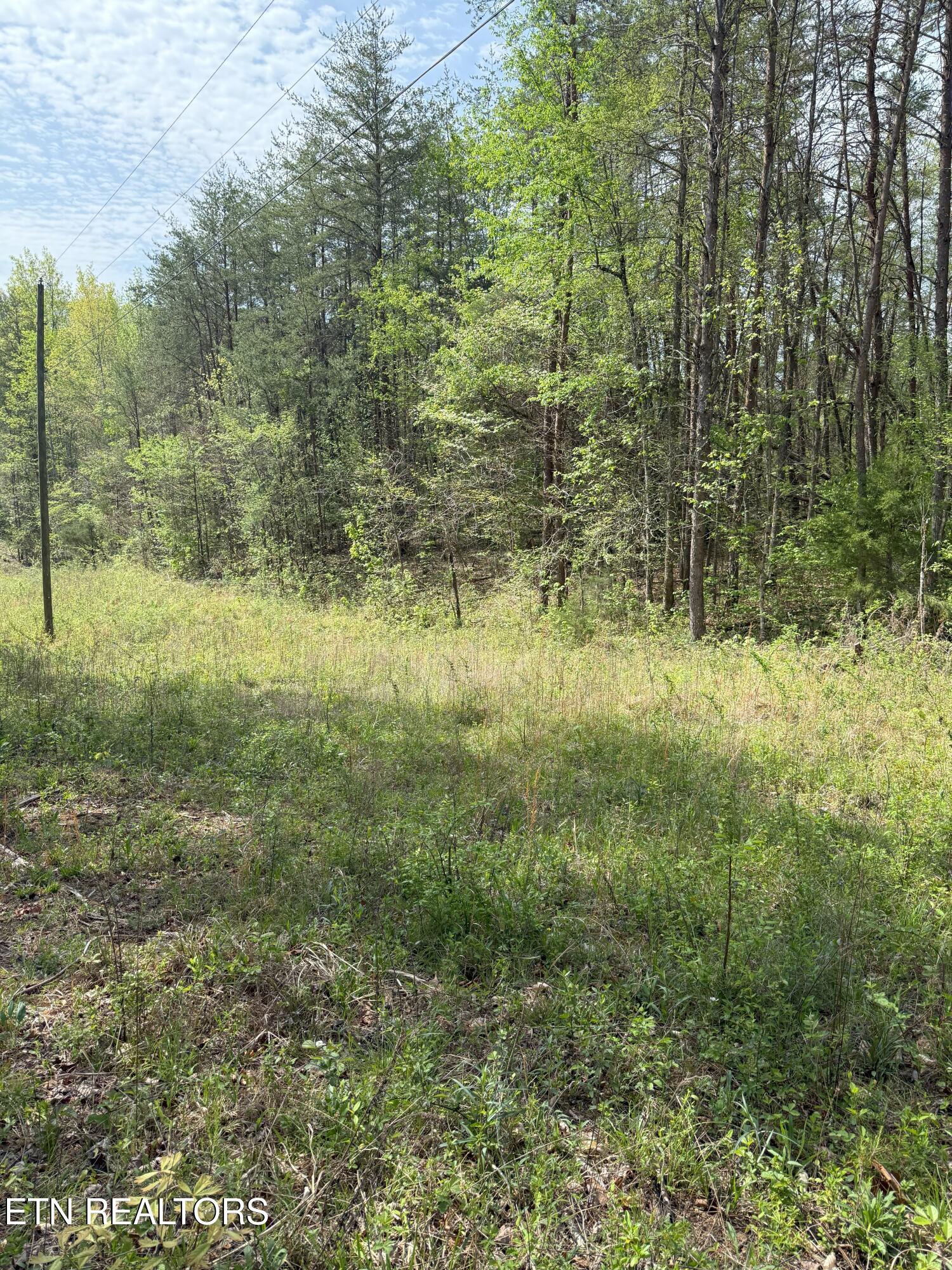 Citico Rd Property Photo 13