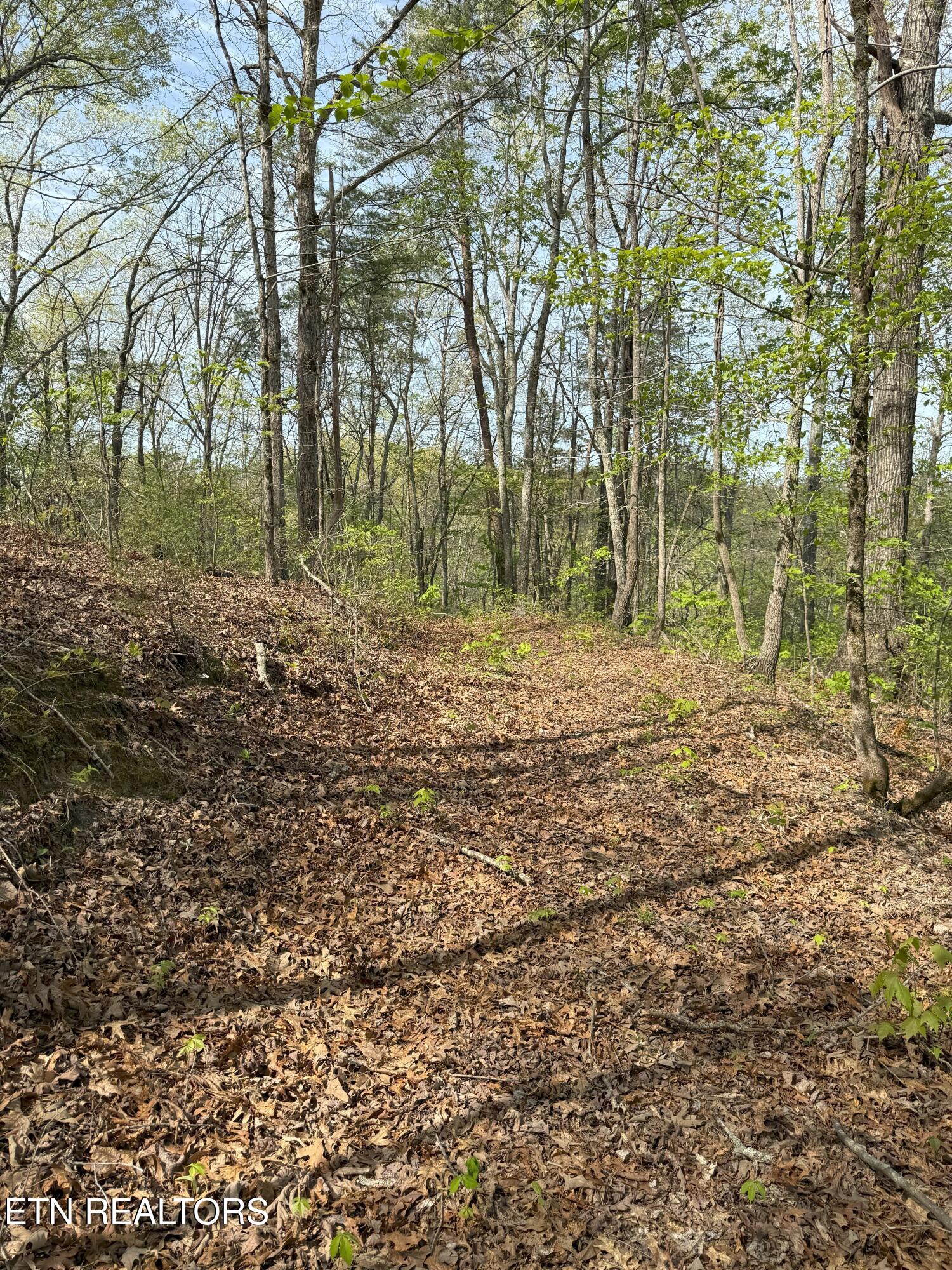 Citico Rd Property Photo