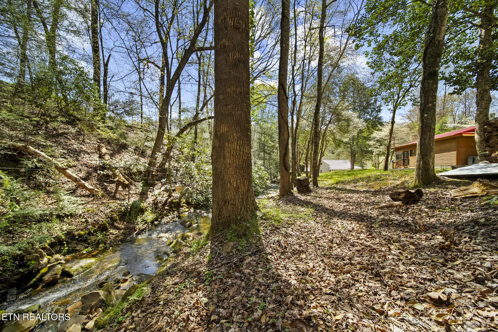 6062 Stinking Creek Rd Property Photo 59