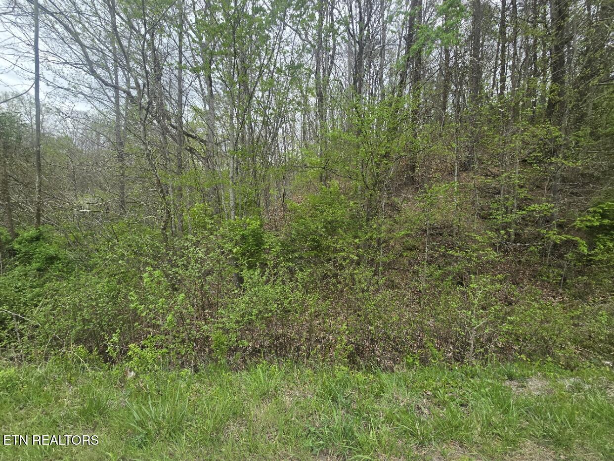 Paint Rock Rd Property Photo