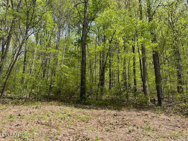 Cabin Rd Property Photo