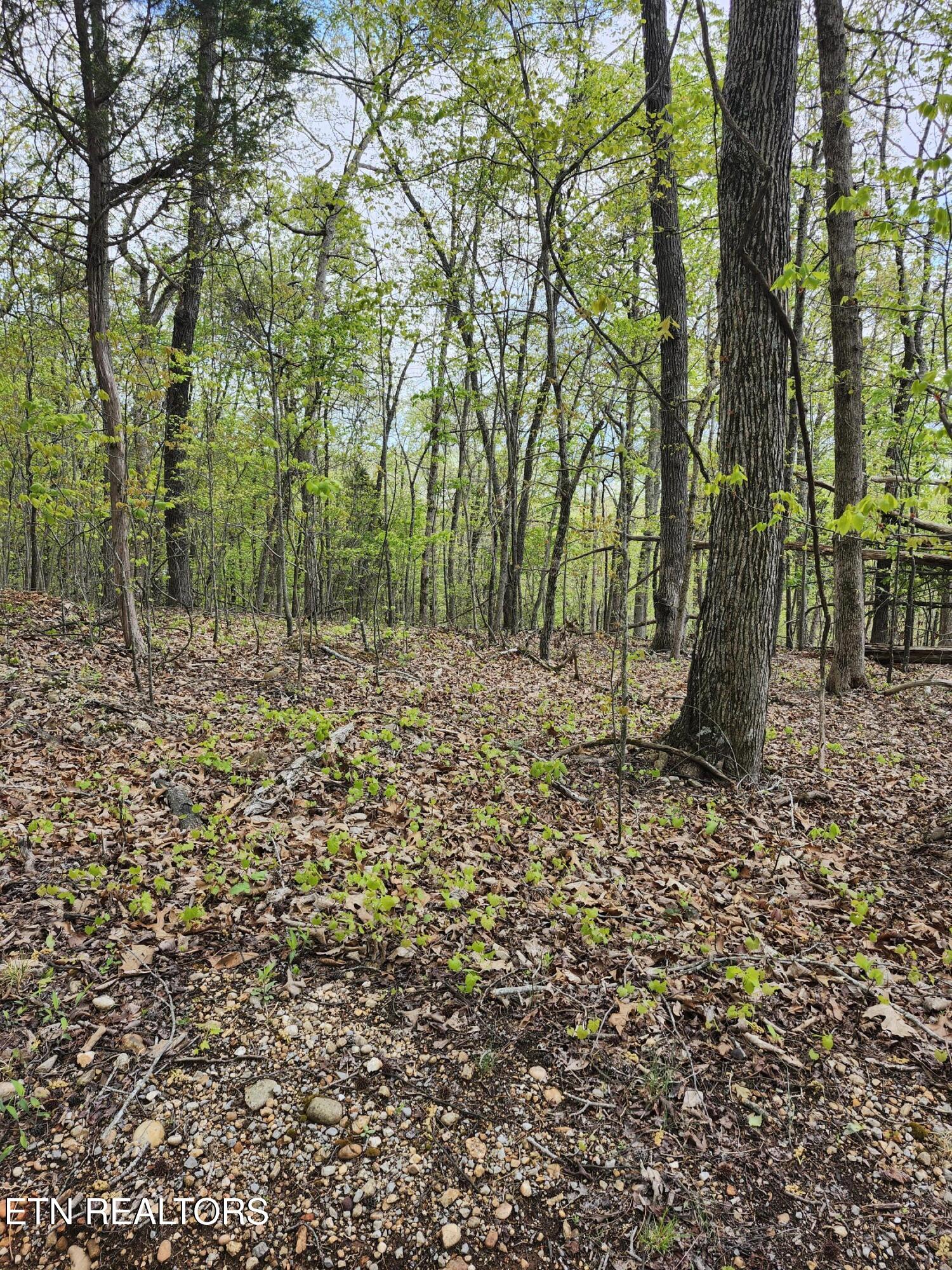 Spruce Drive Property Photo