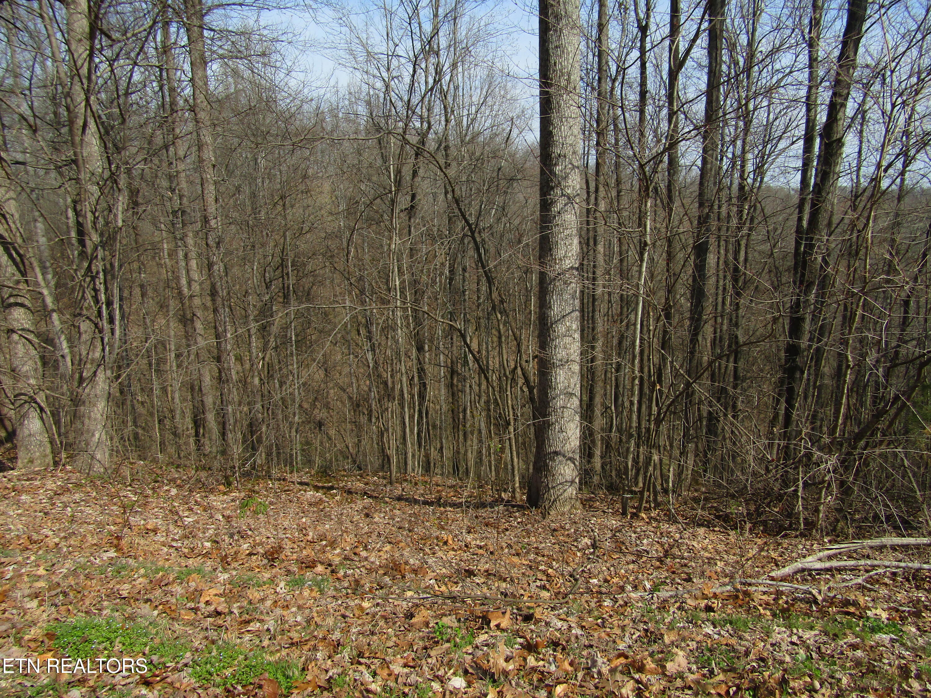 Dekalb County County Real Estate Listings Main Image