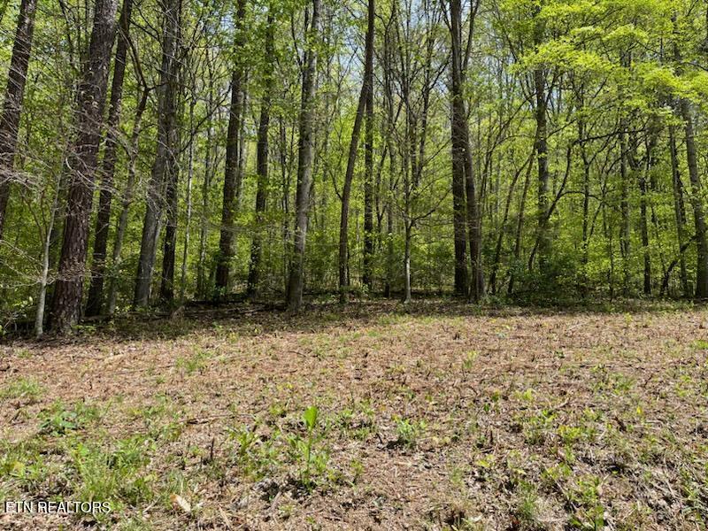 Lot 1 Cabin Rd Property Photo