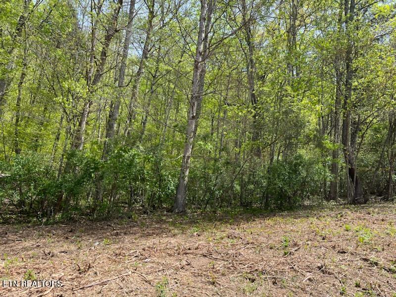 Lot 2 Cabin Rd Property Photo