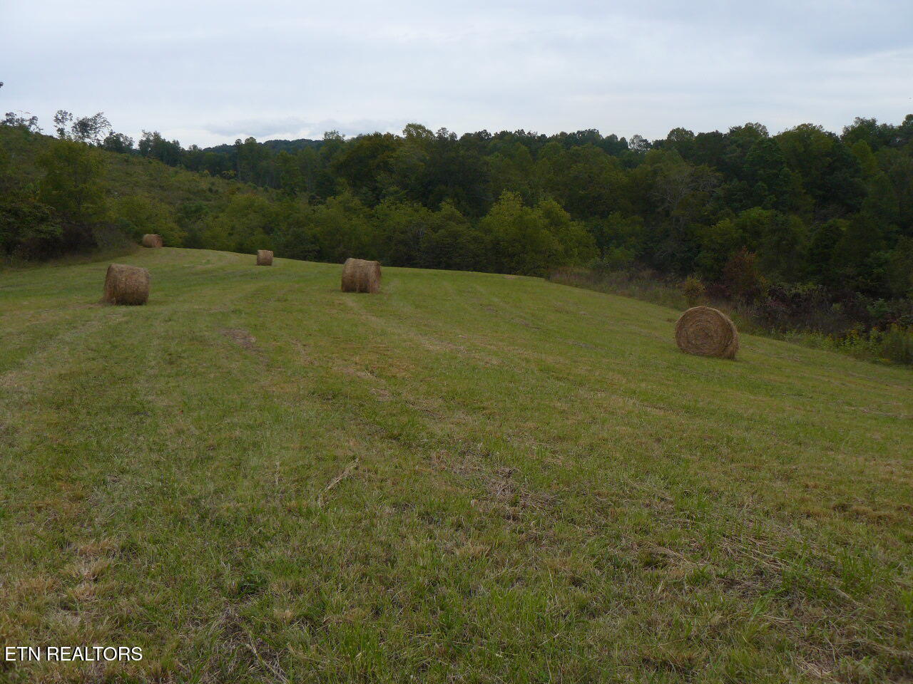 132 Acres Leabow Hollow Rd Property Photo
