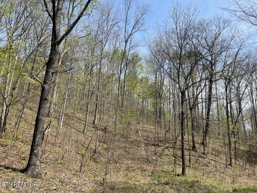 01 Brock Hollow Rd Property Photo