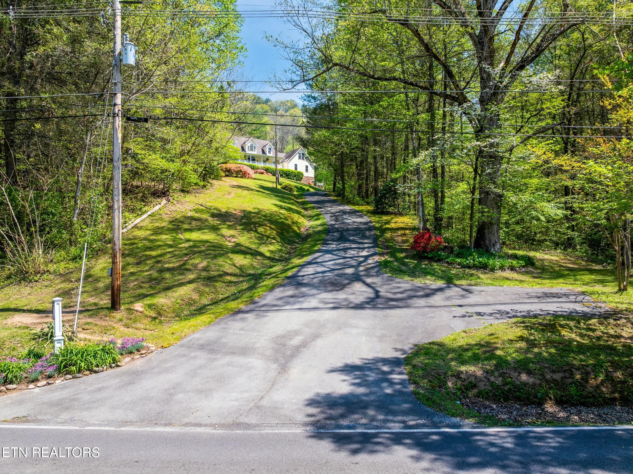 6031 Old Walland Hwy Property Photo 4
