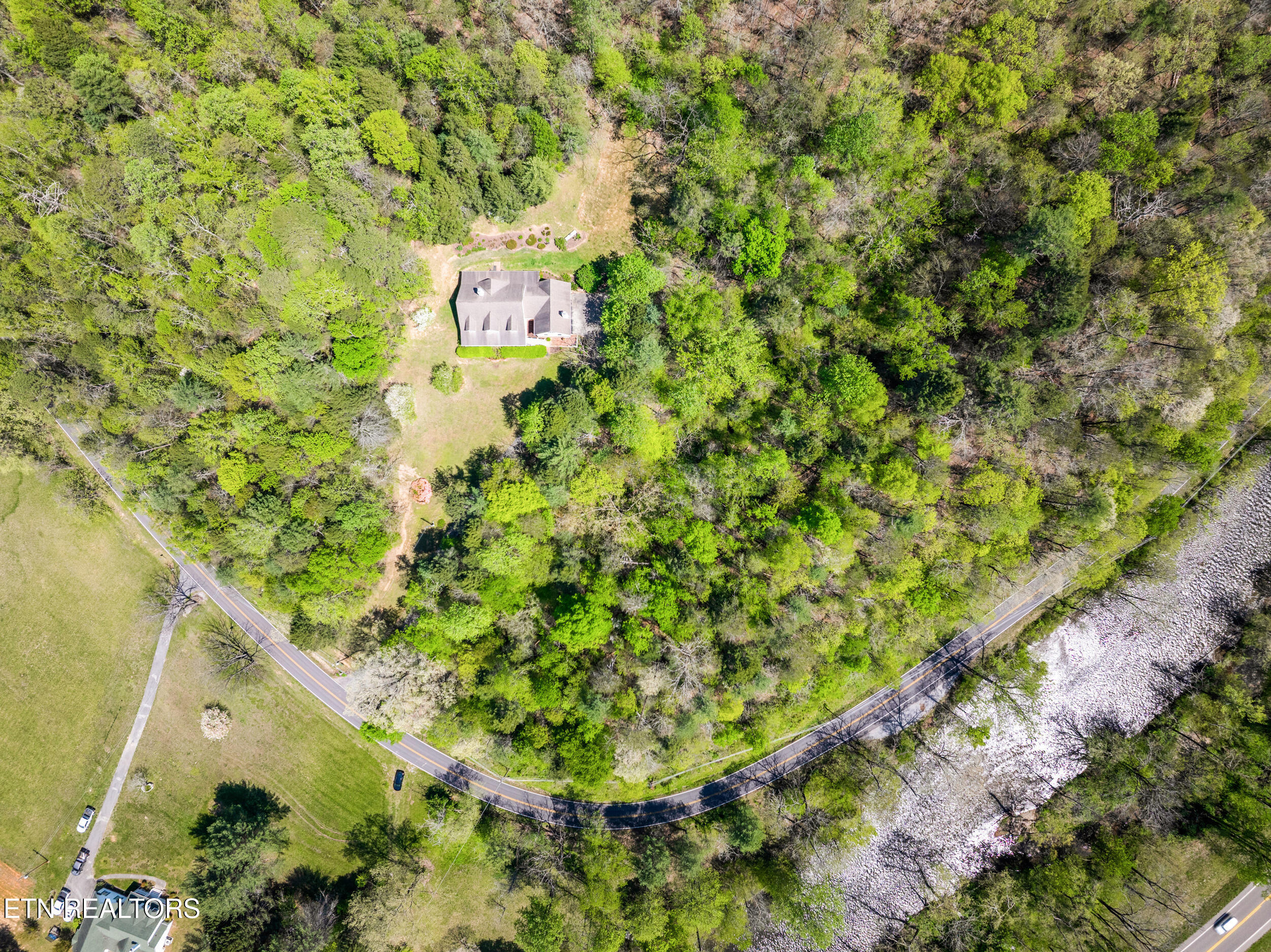 6031 Old Walland Hwy Property Photo 44