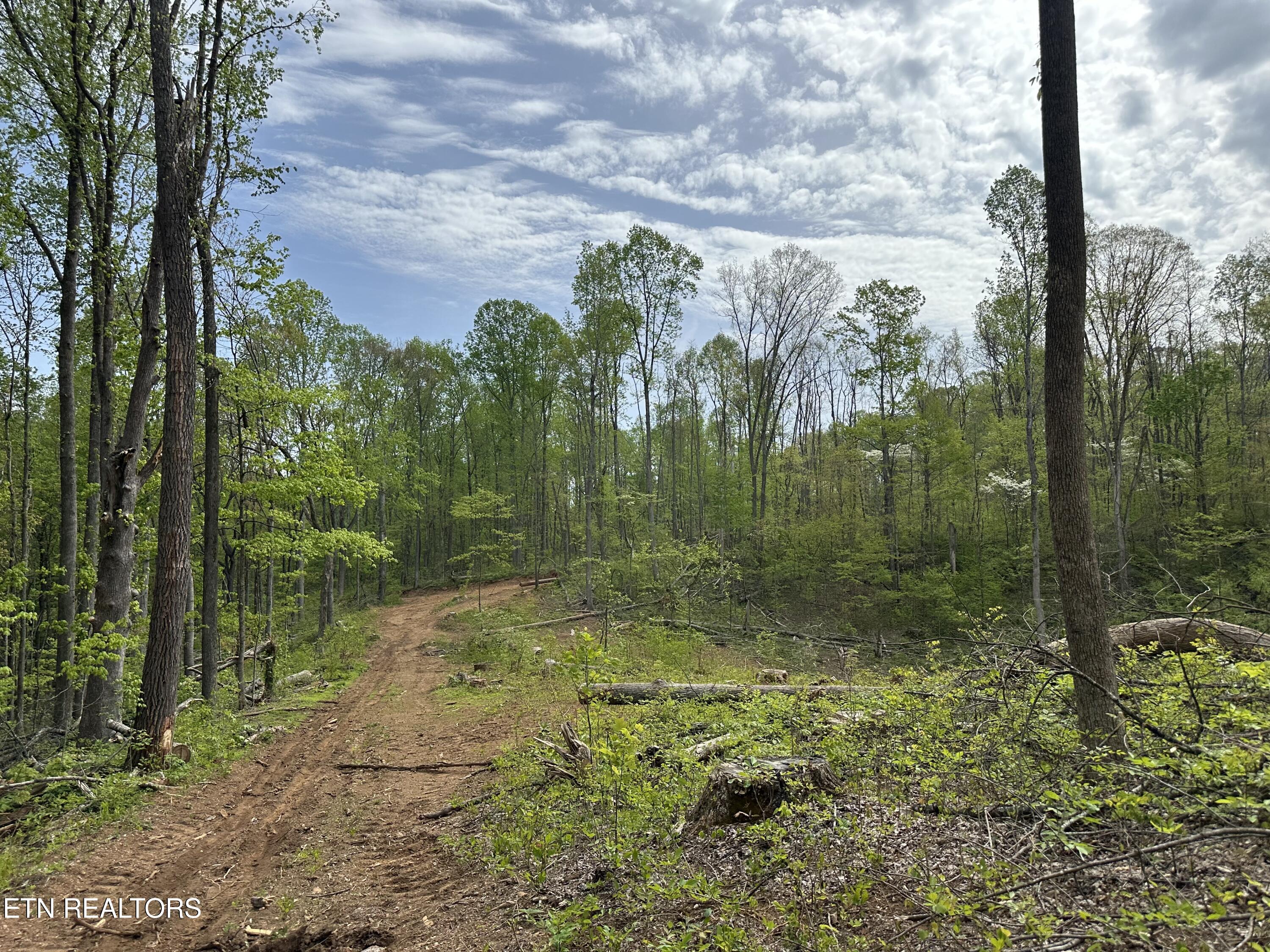 Easterly Circle Property Photo