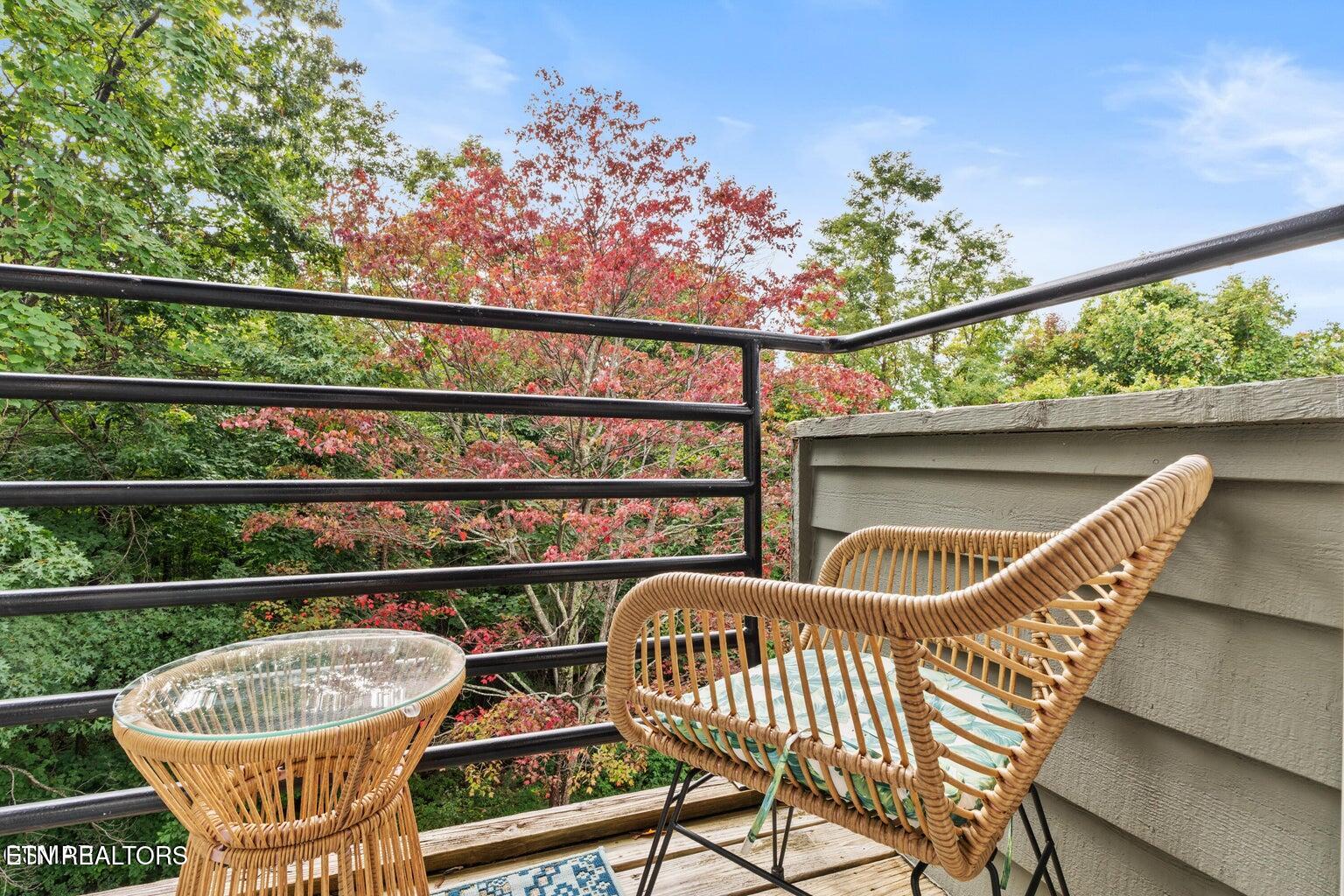 1260 Ski View Drive Property Photo 8