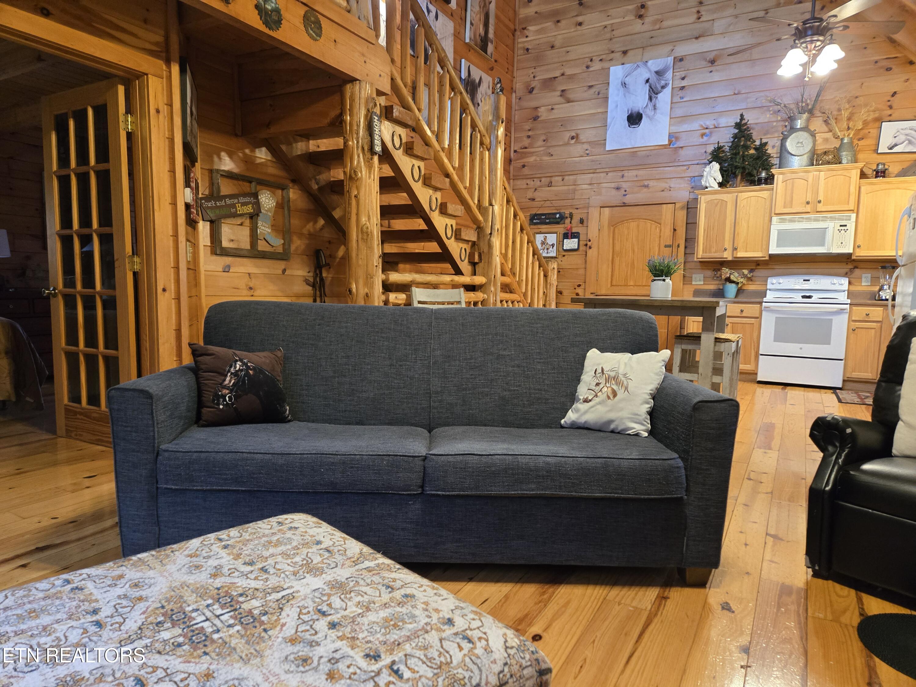 241 Alpine Mountain Way Property Photo 9