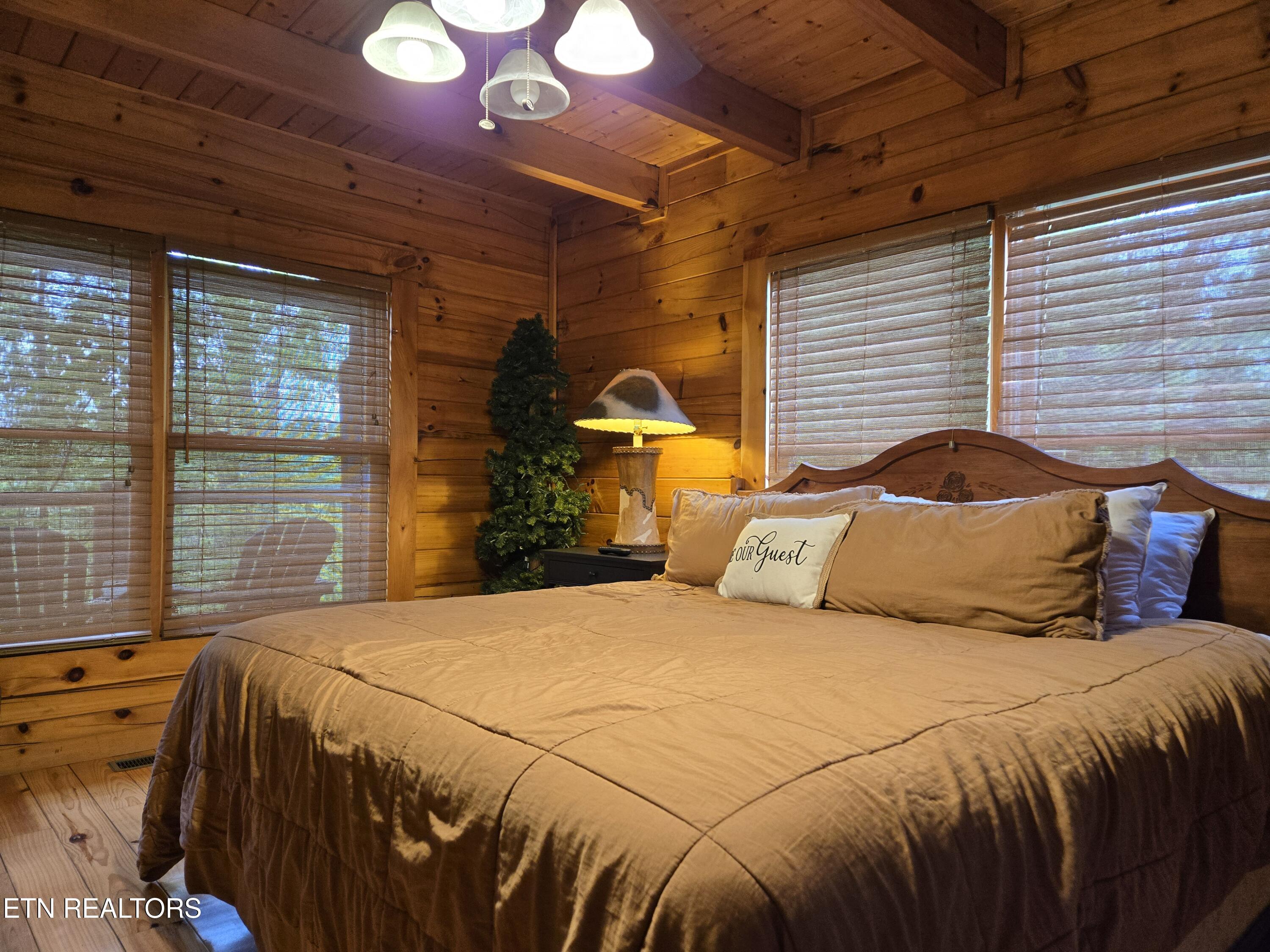241 Alpine Mountain Way Property Photo 22