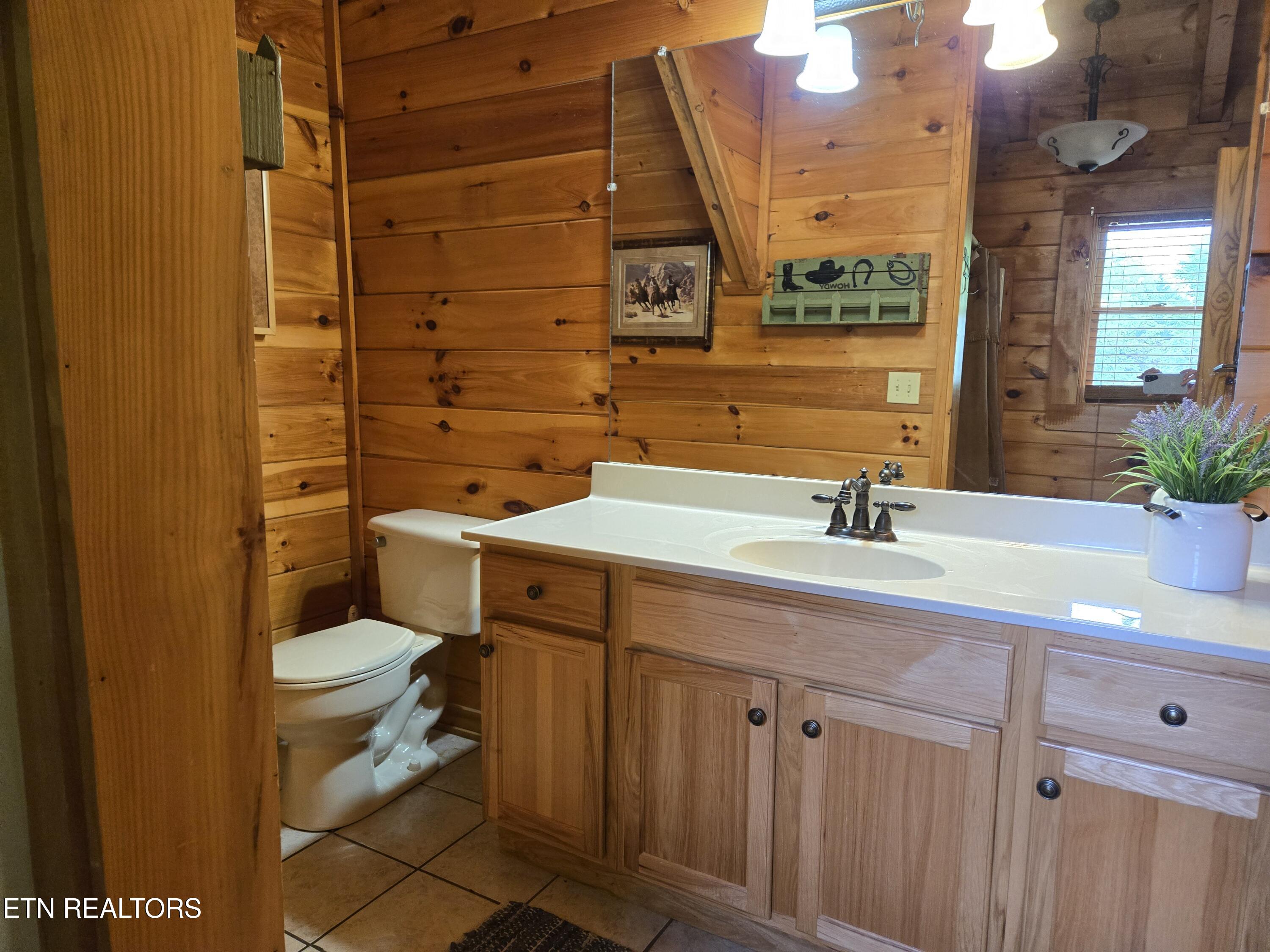 241 Alpine Mountain Way Property Photo 27