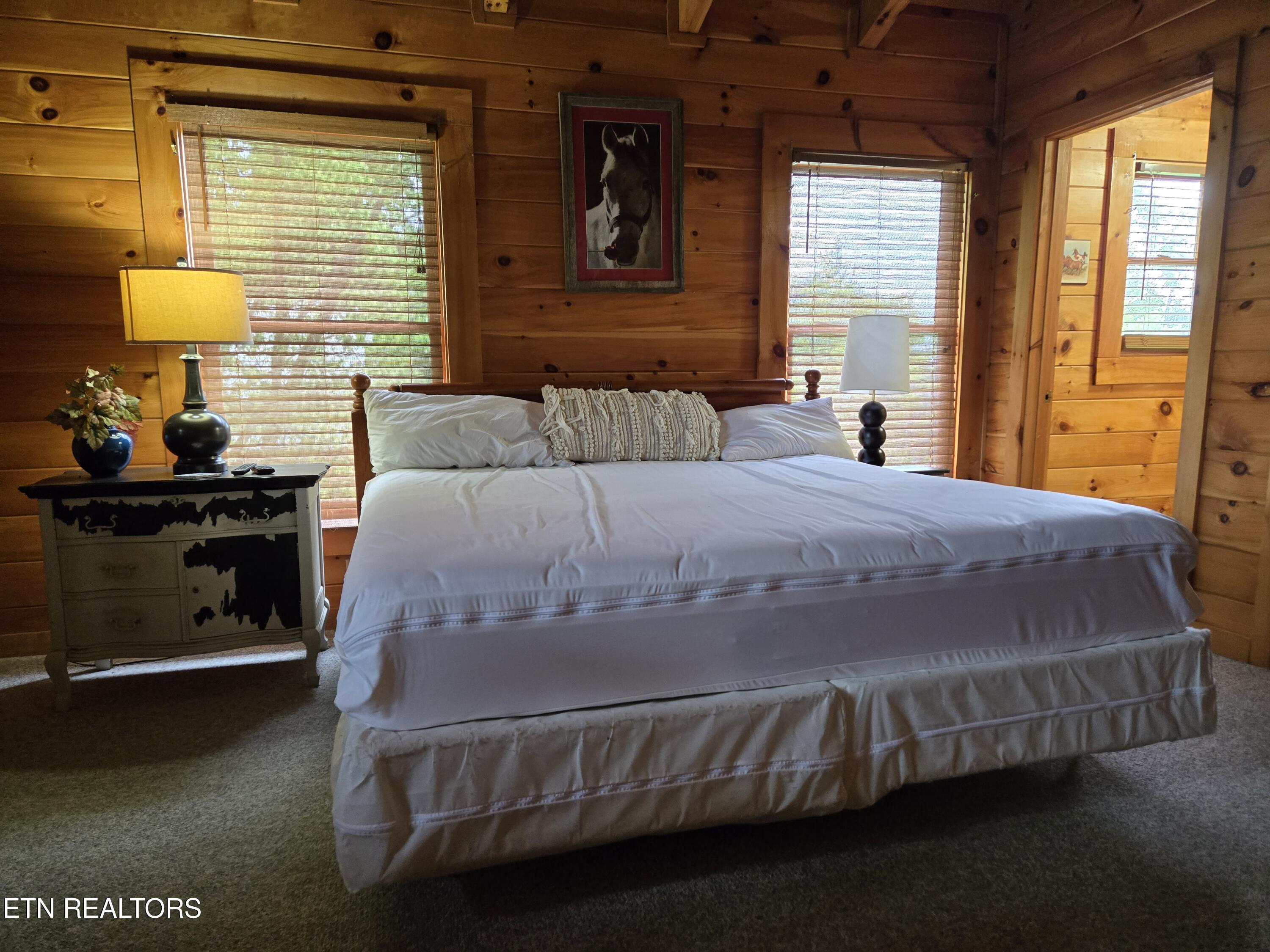 241 Alpine Mountain Way Property Photo 29
