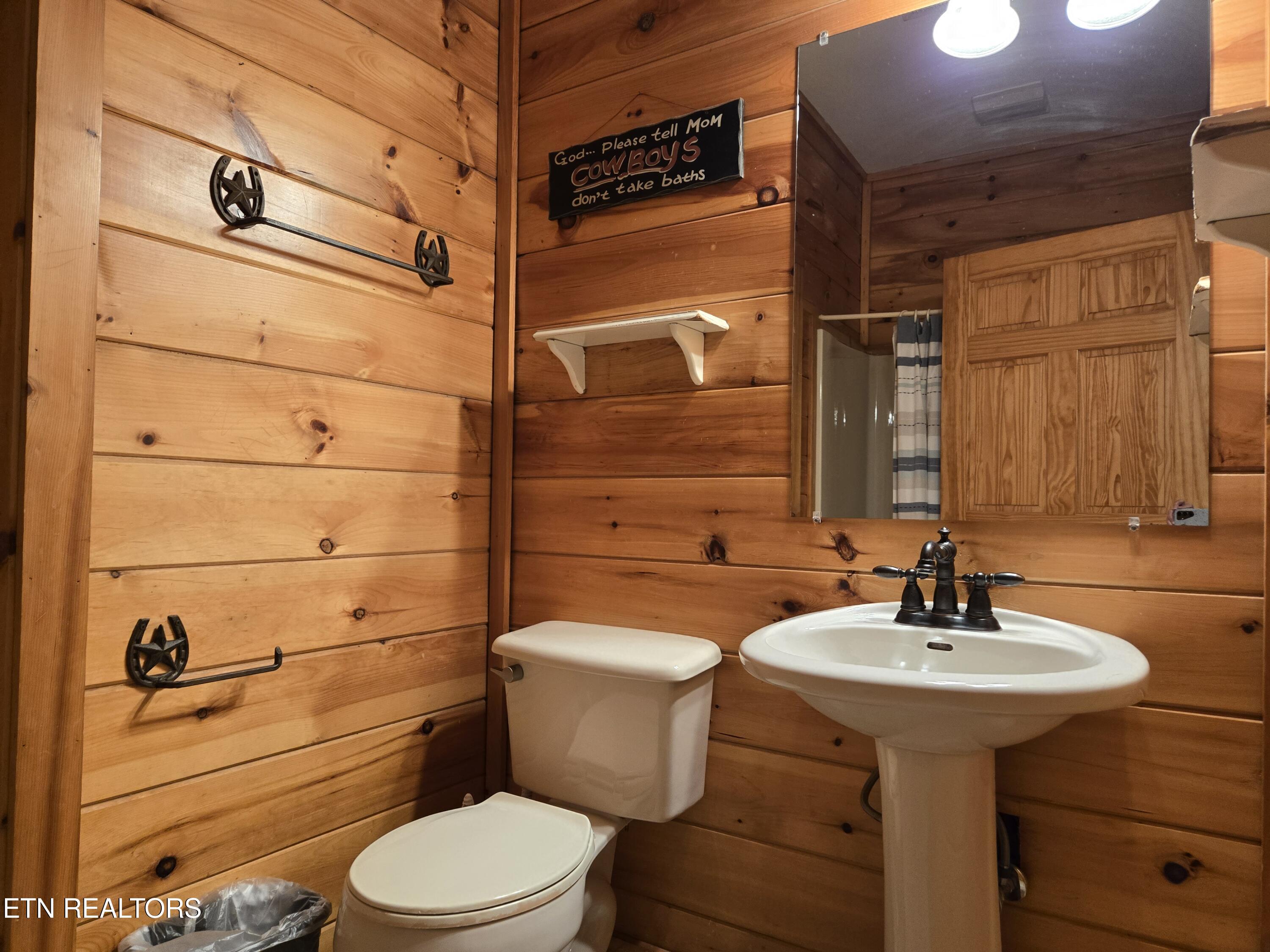 241 Alpine Mountain Way Property Photo 39