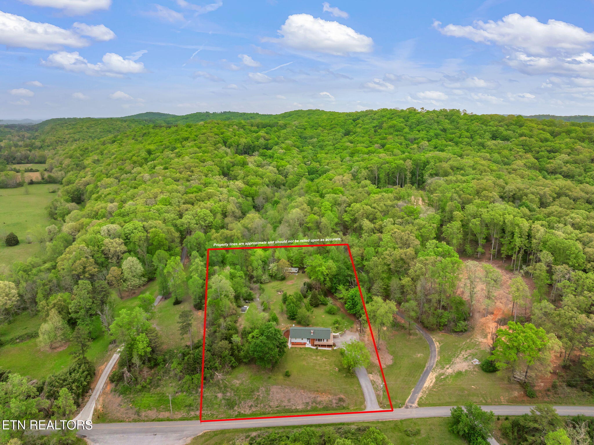 1441 Paint Rock Ferry Rd Property Photo 7