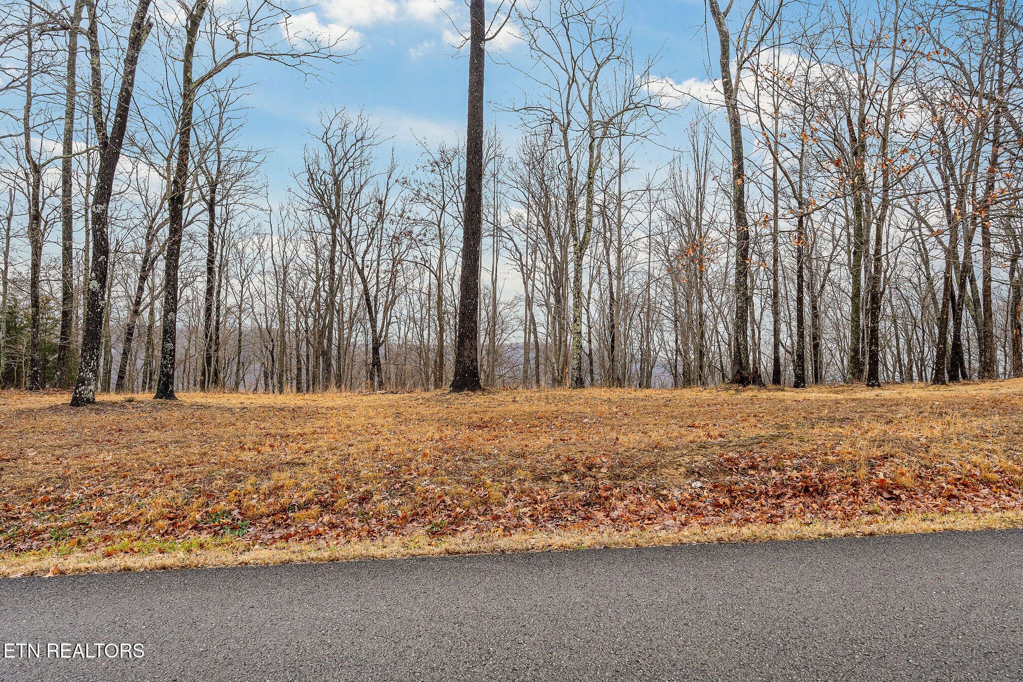 1280 Overlook Circle Property Photo 2