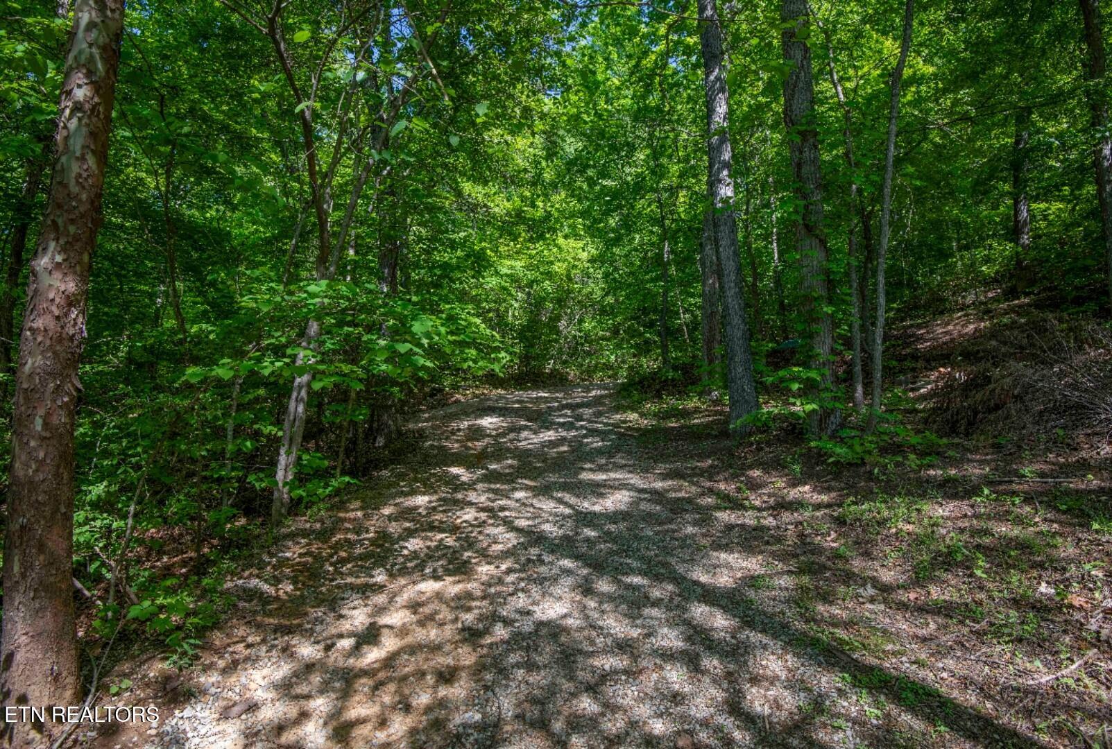 Indian Creek Rd Property Photo 7