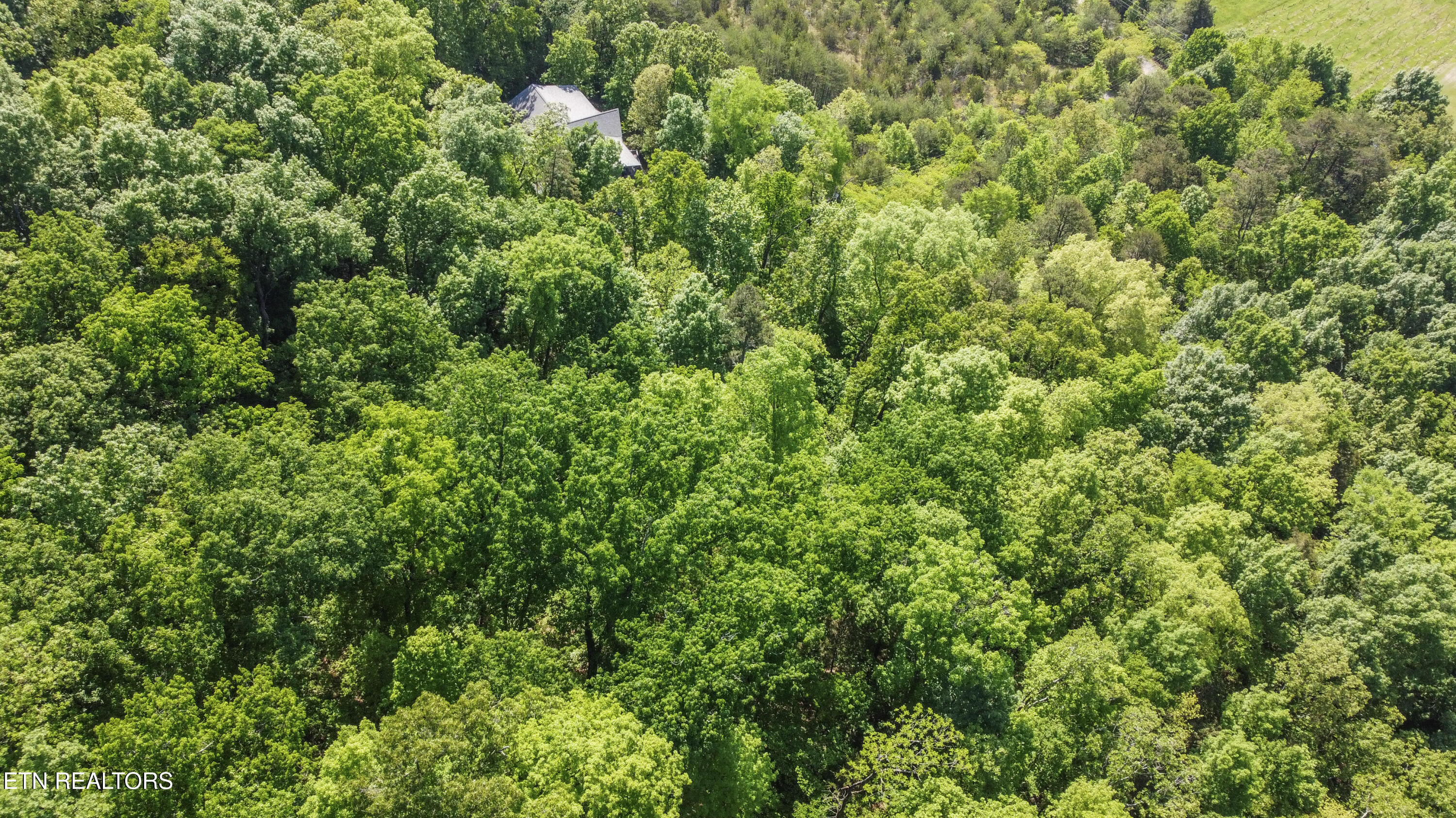 Indian Creek Rd Property Photo 19