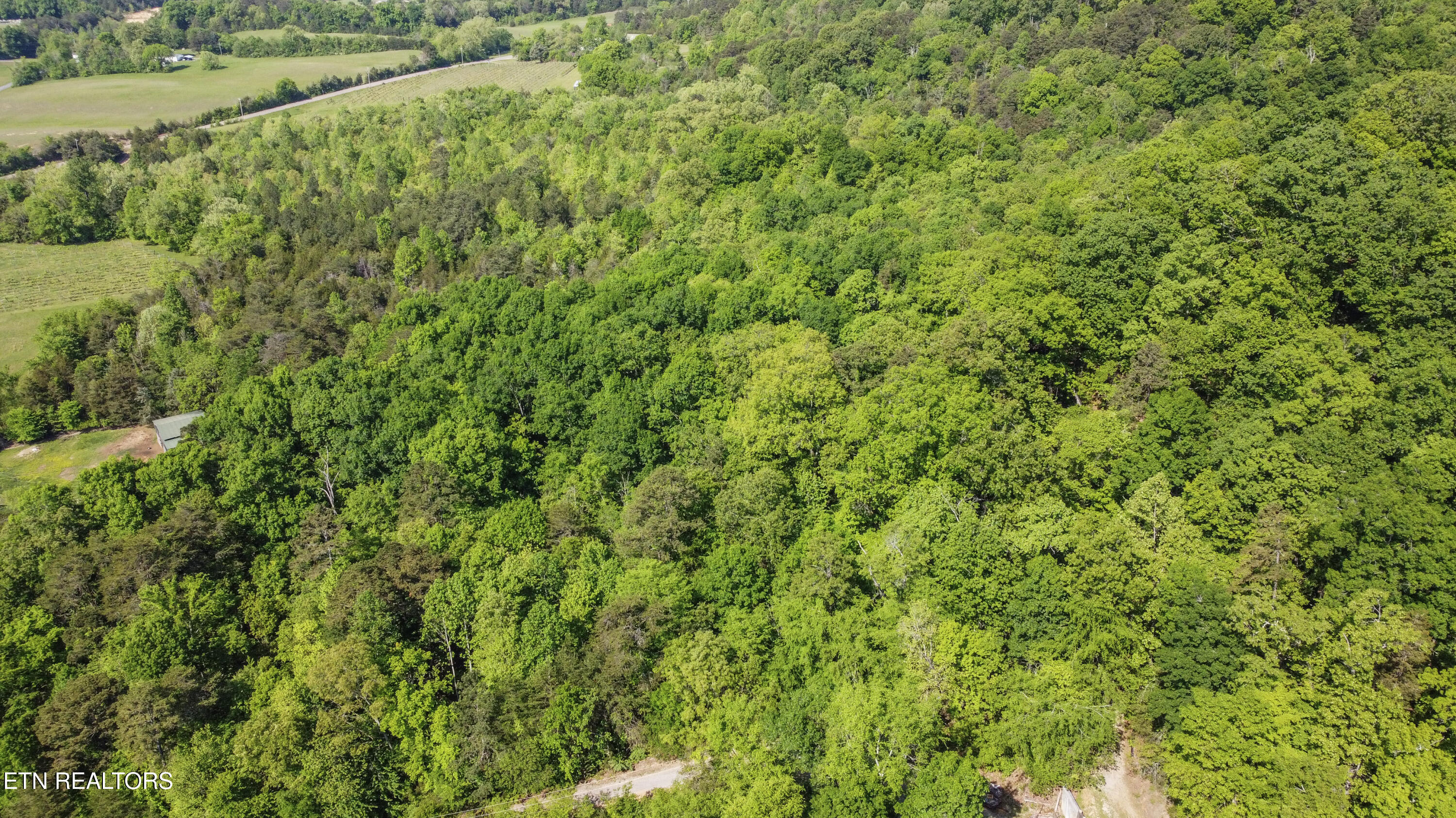 Indian Creek Rd Property Photo 23