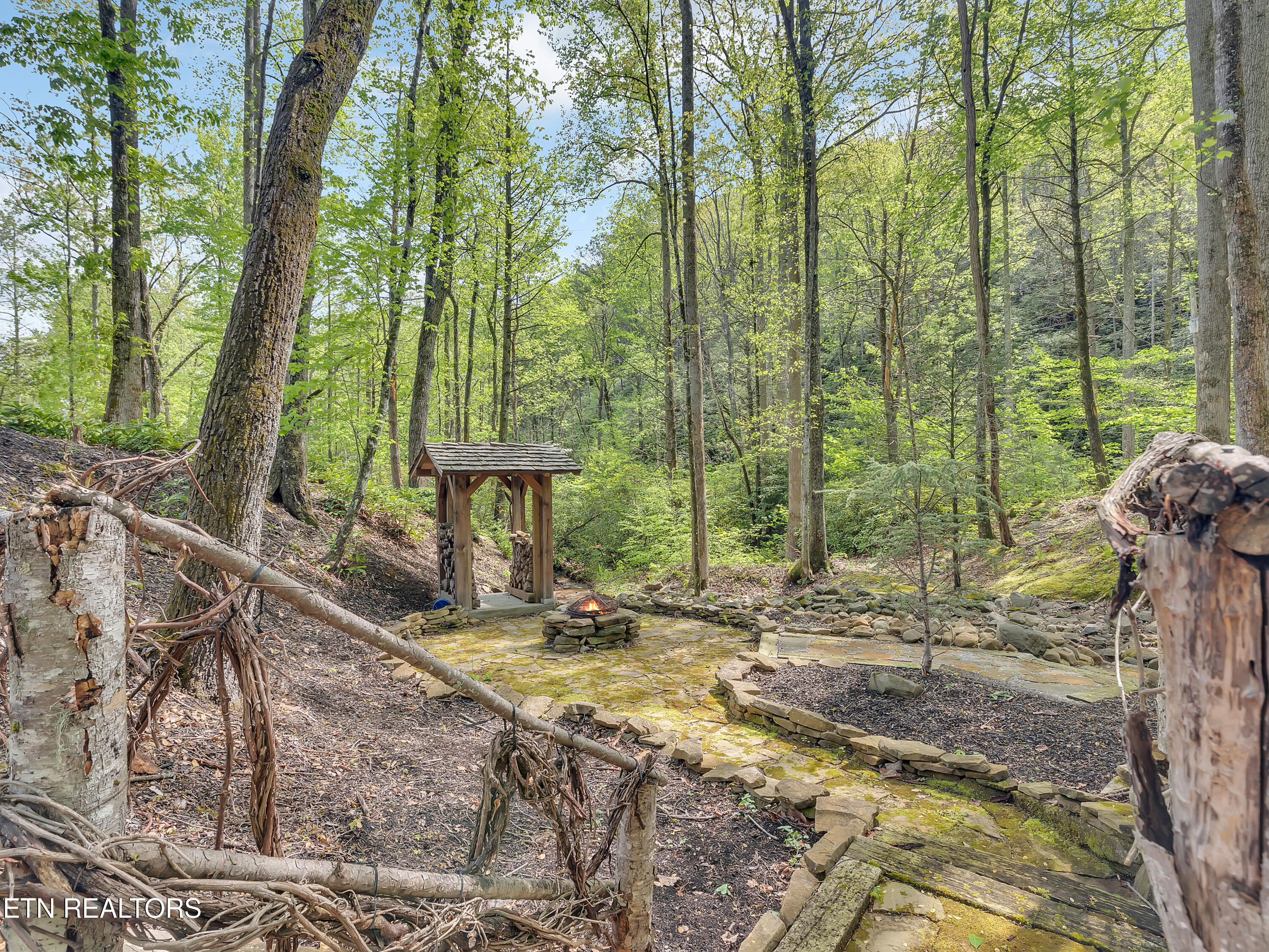 3950 Forest Trail Drive Property Photo 4