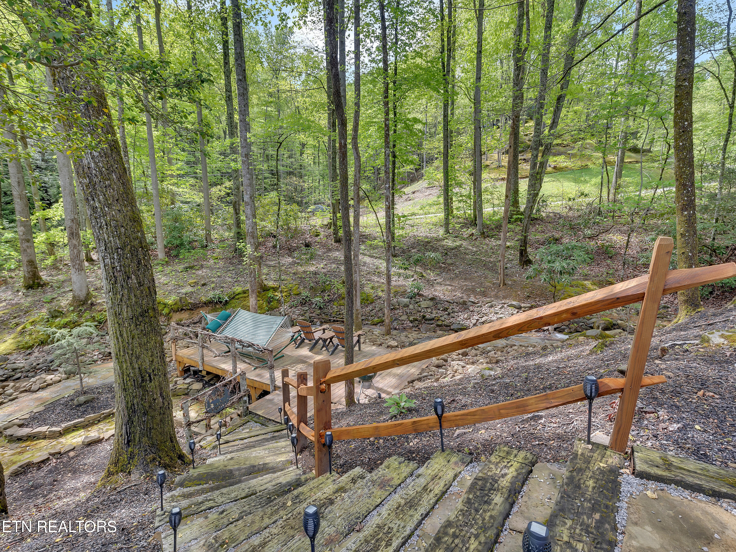 3950 Forest Trail Drive Property Photo 5