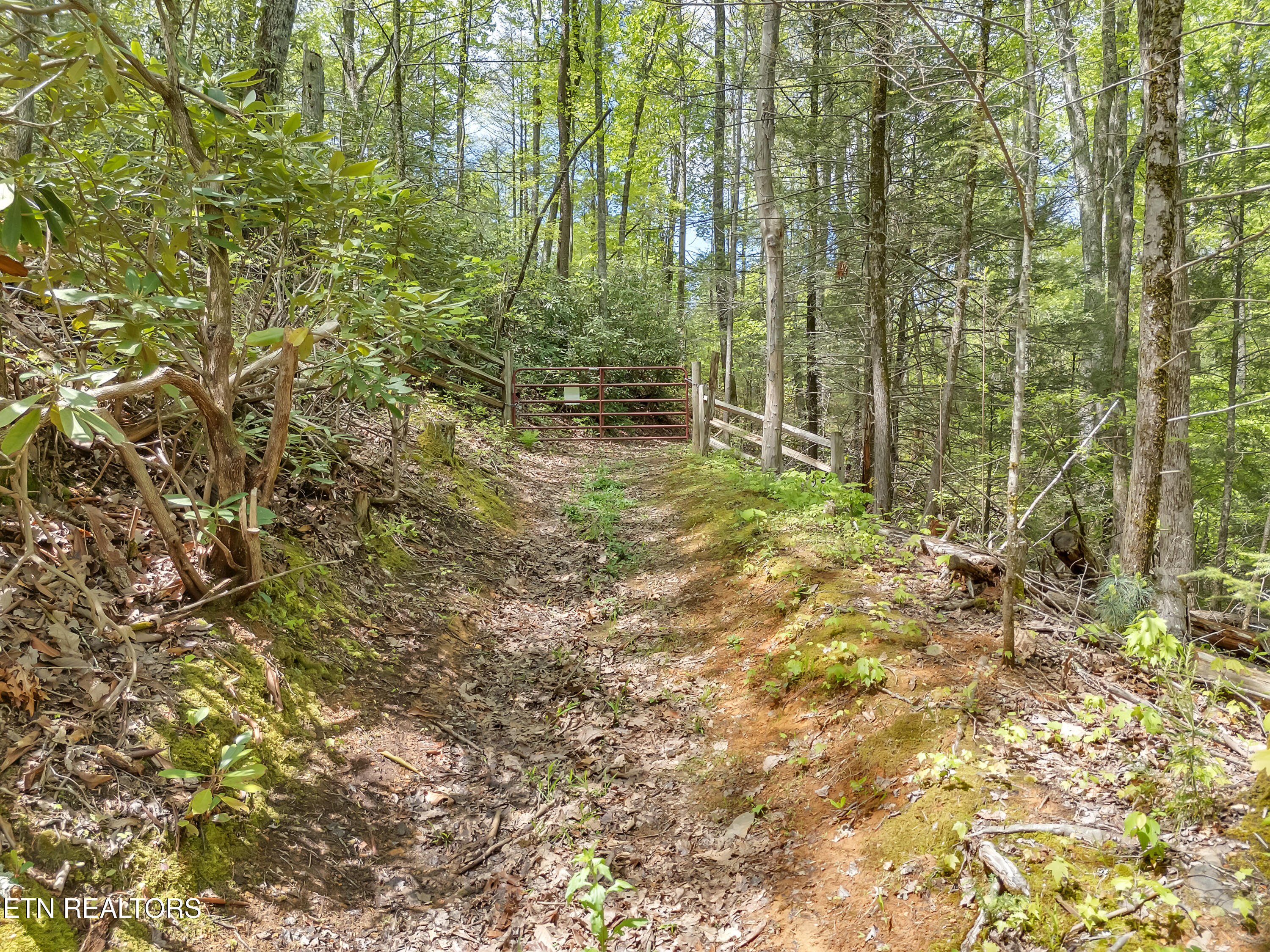 3950 Forest Trail Drive Property Photo 30