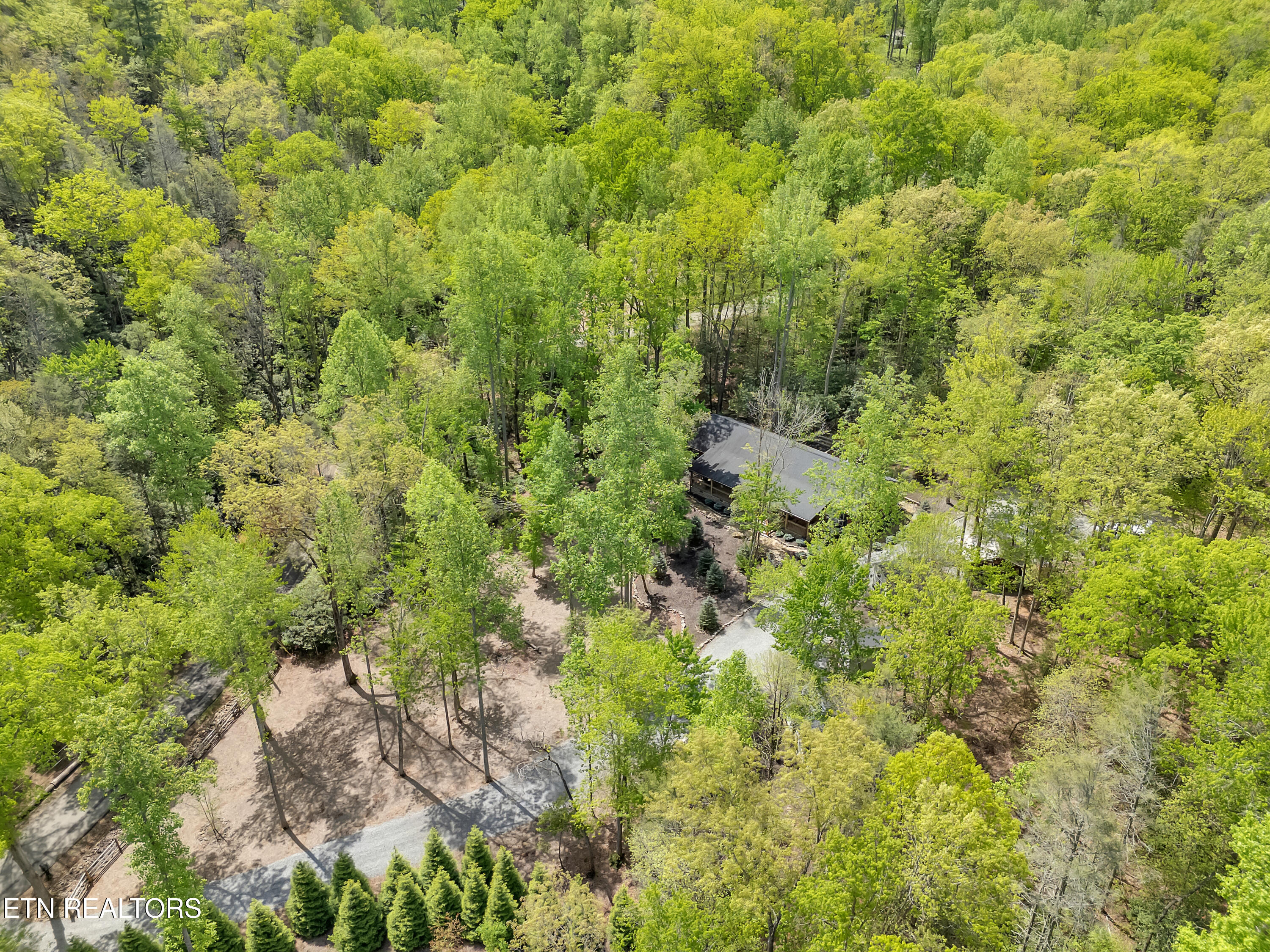 3950 Forest Trail Drive Property Photo 31