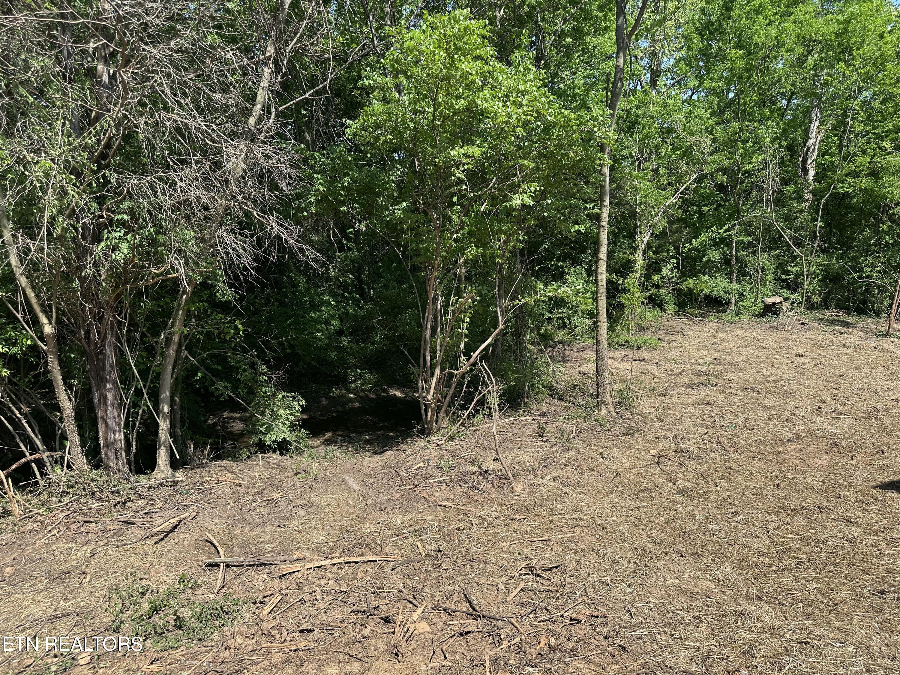 2117 Camley Court Property Photo 12