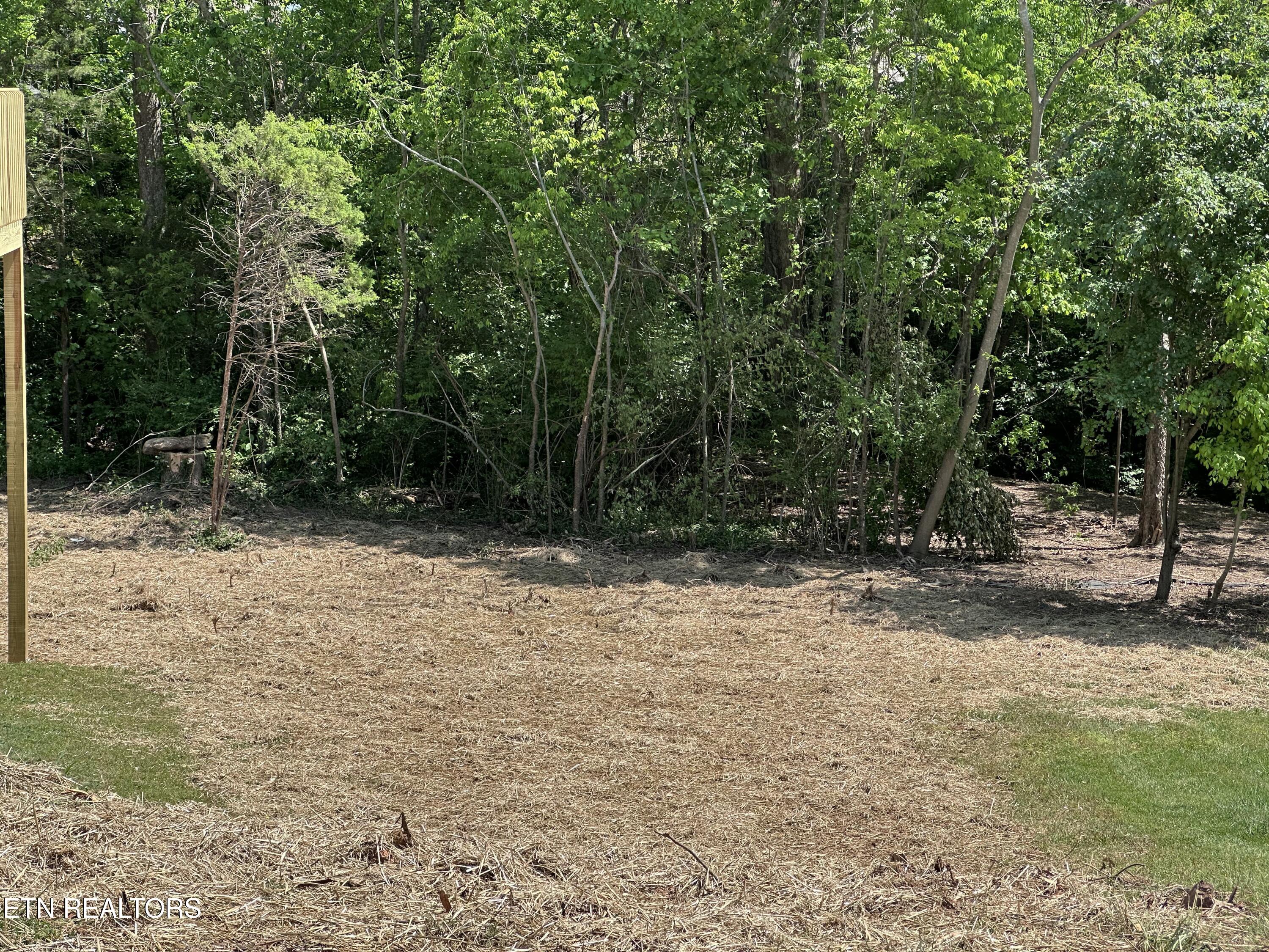 2117 Camley Court Property Photo 13