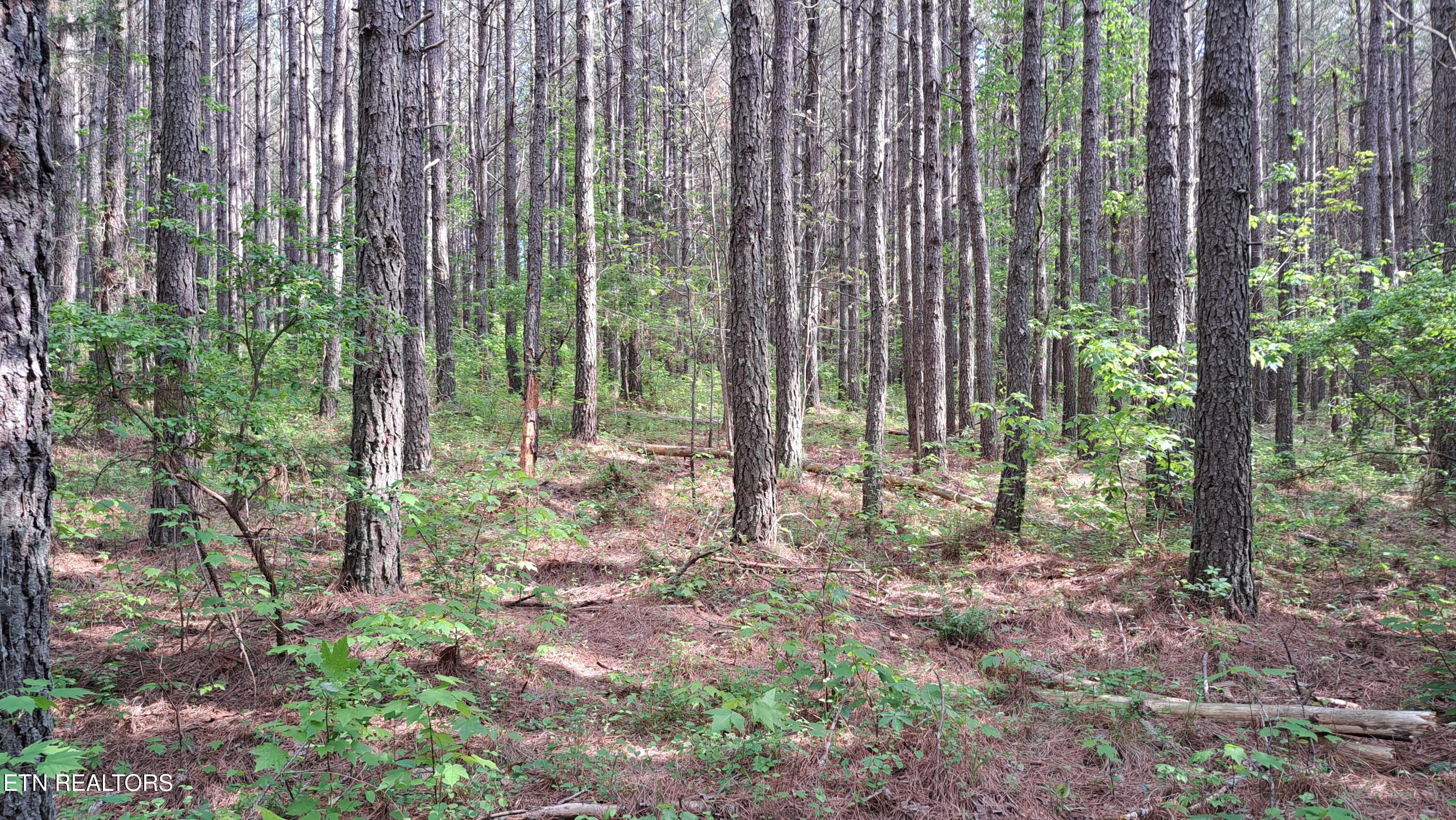 Airport Rd - Lot 15 (pca) Property Photo 1