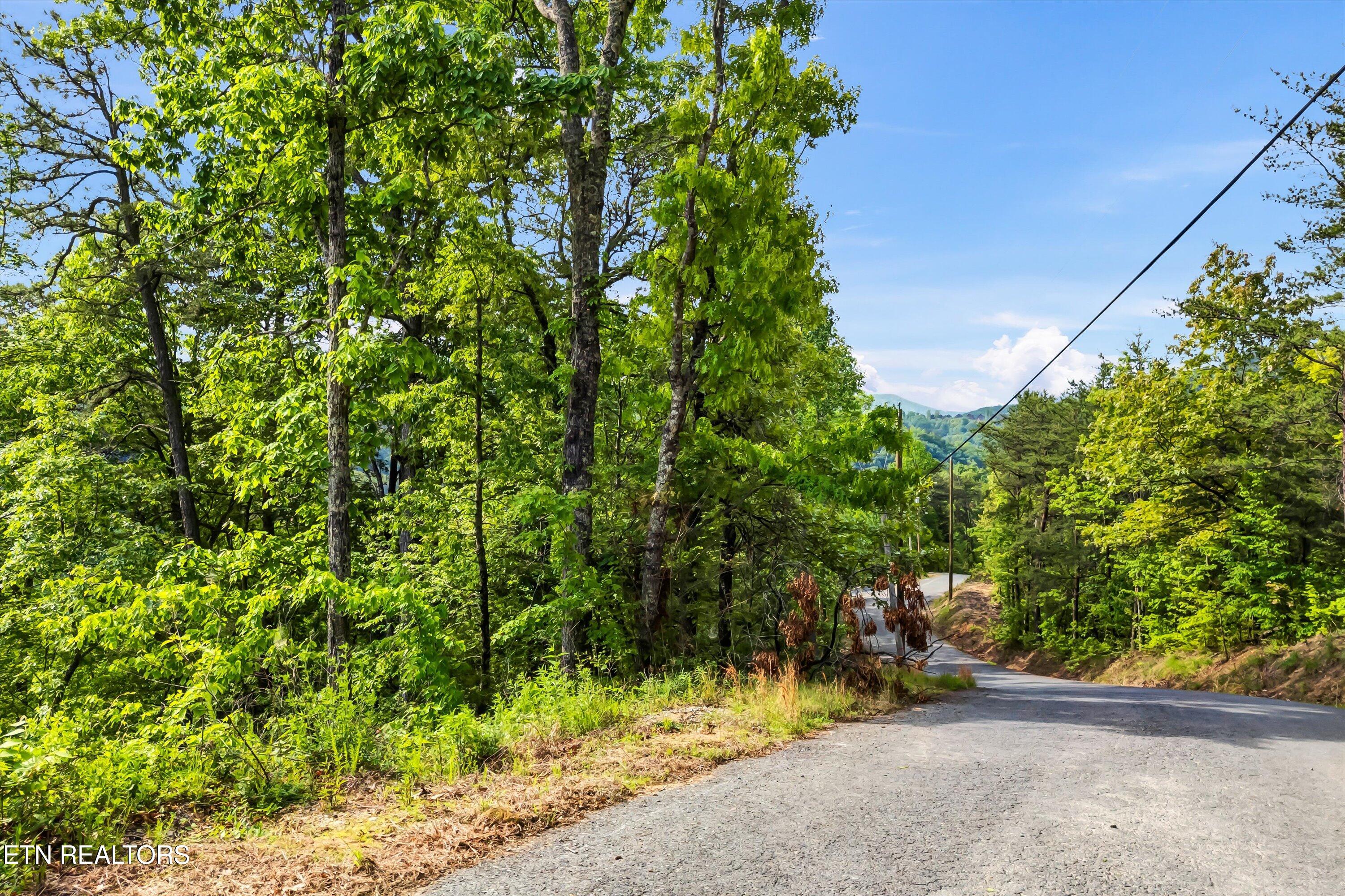 Lot 1 Hatcher Top Rd Property Photo 1