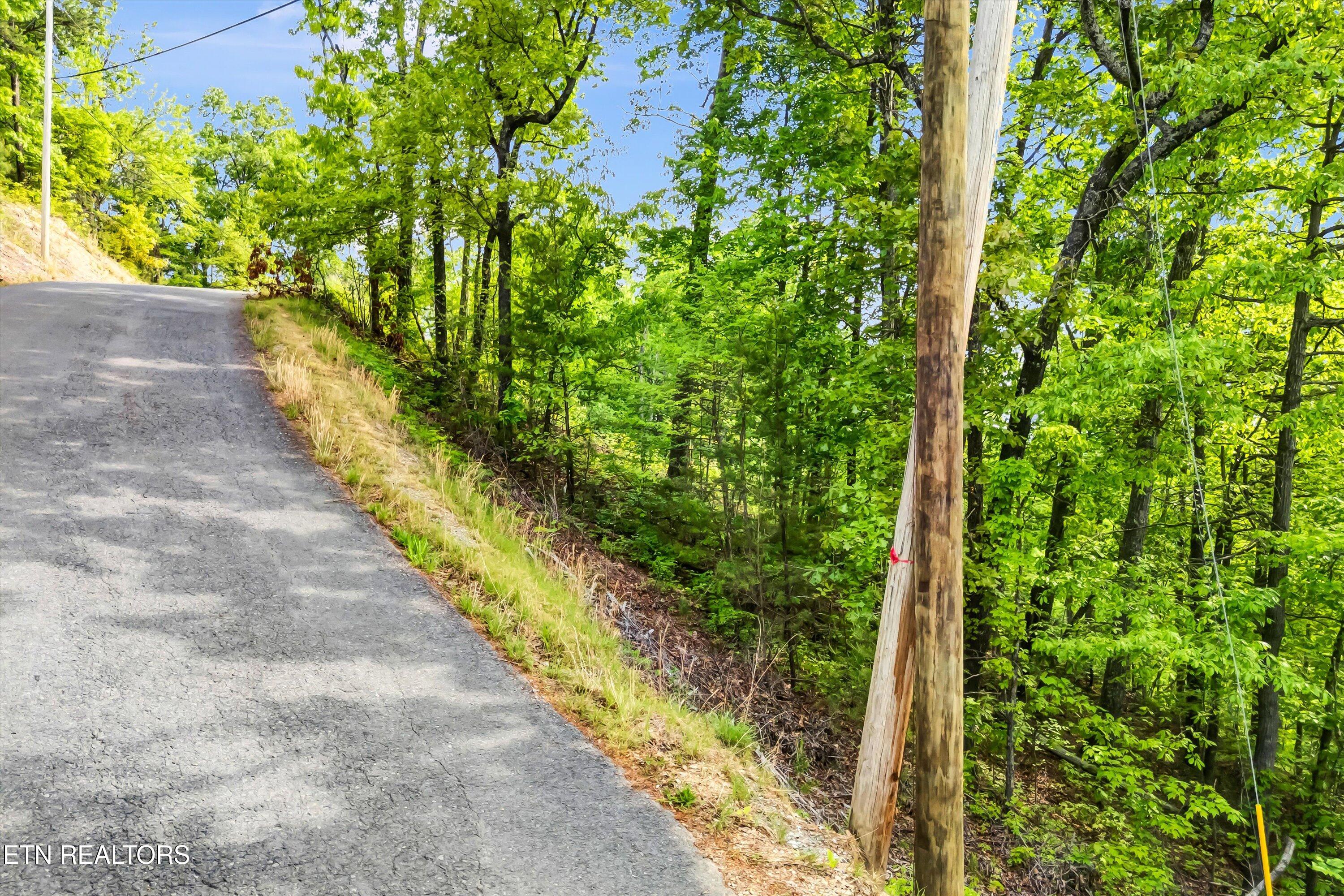 Lot 1 Hatcher Top Rd Property Photo 2