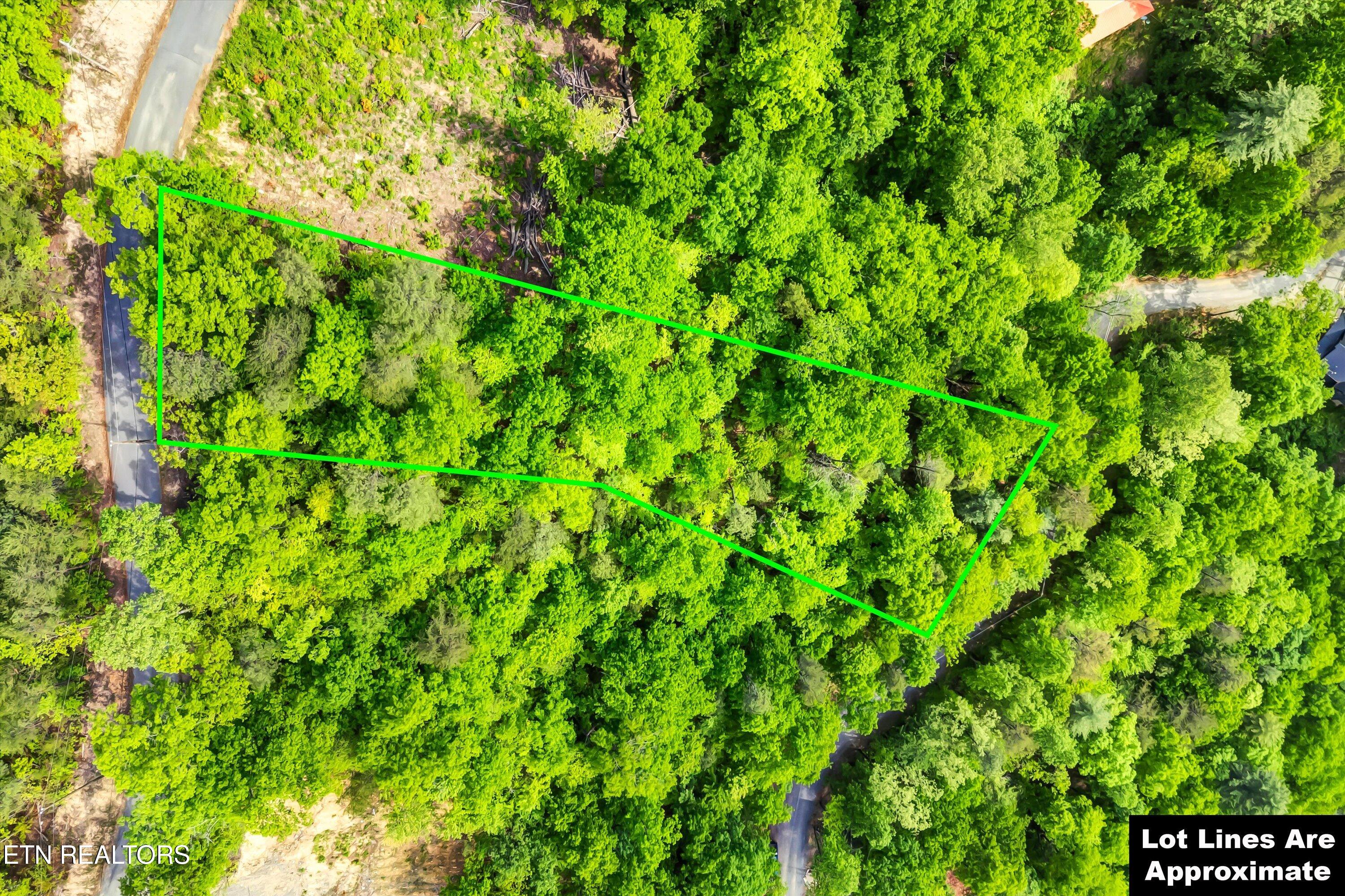 Lot 1 Hatcher Top Rd Property Photo 3